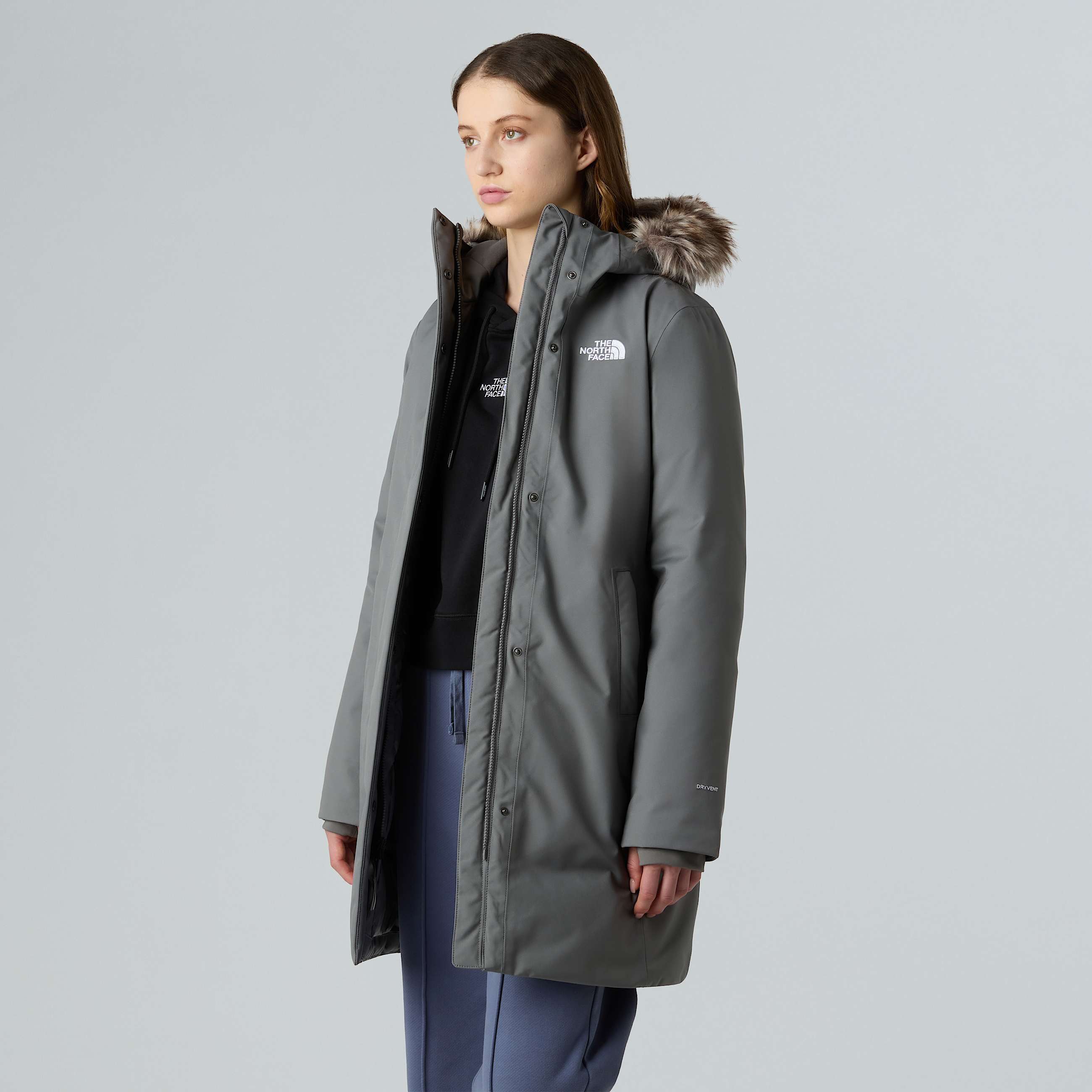 Arctic Parka W TNF ALT3