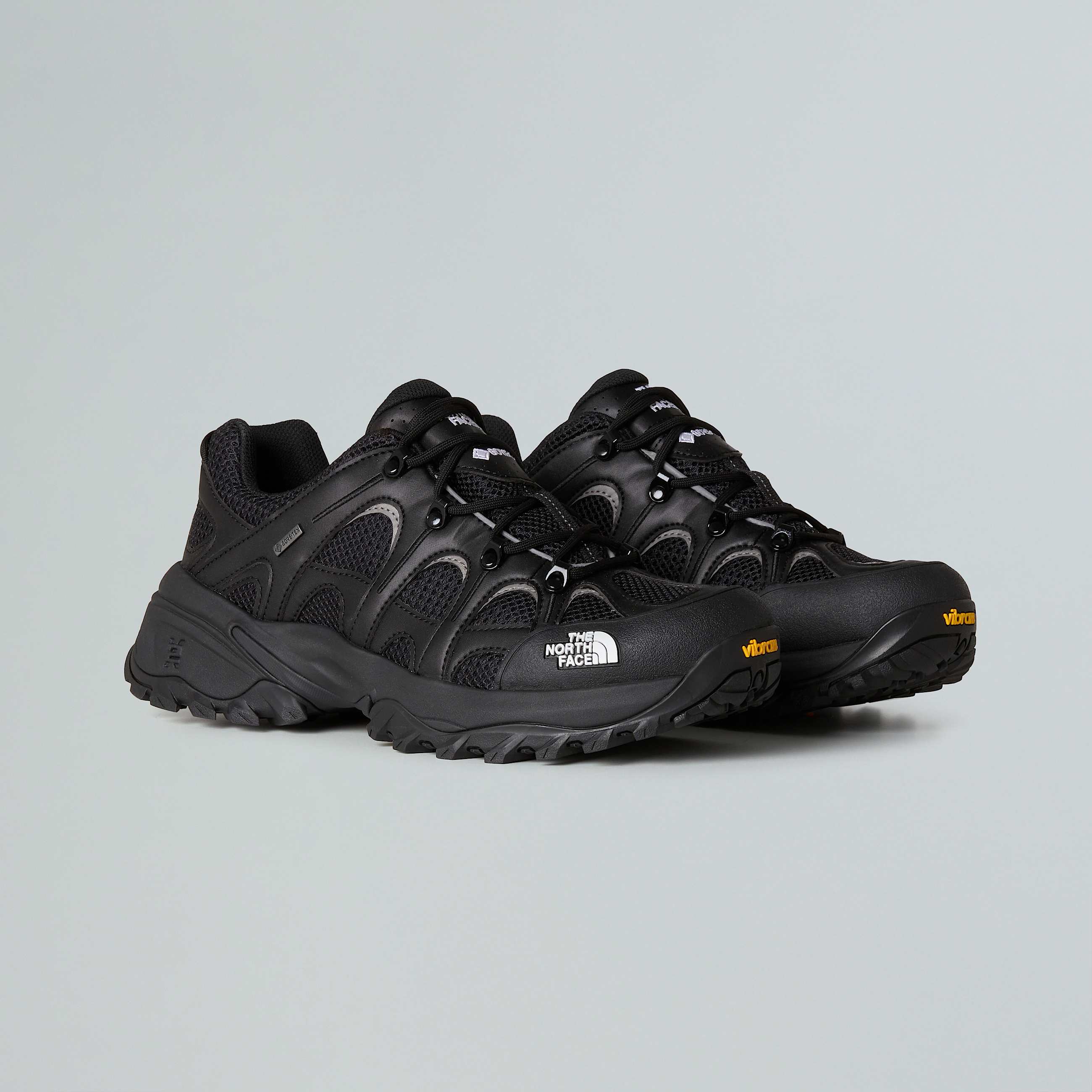Hedgehog 06 RVST GORETEX Shoes TNF ALT8