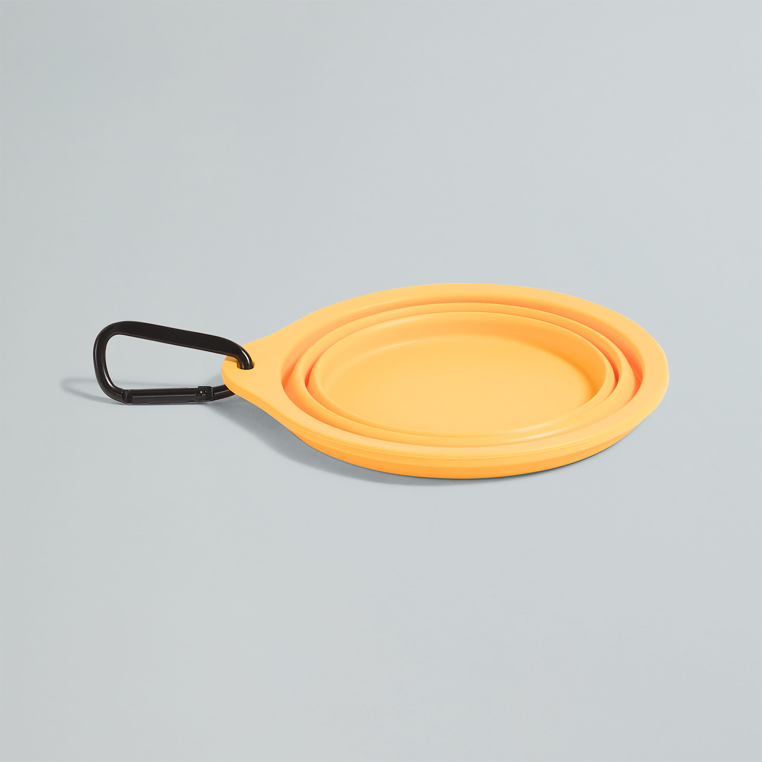 TNF Collapsible Pet Bowl TNF ALT2