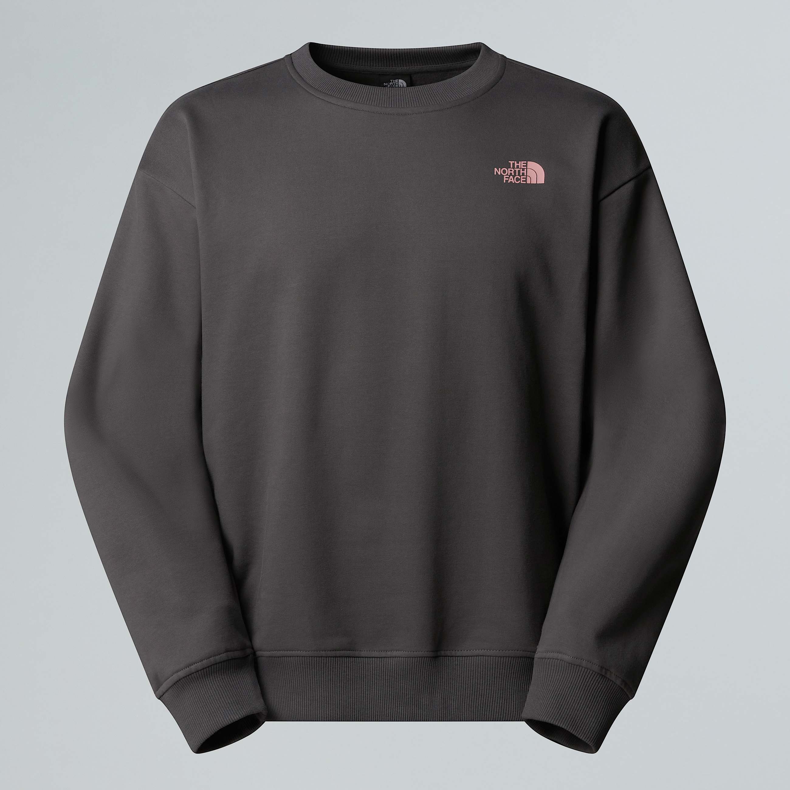 Unisex Expedition Celebration Oversized Sweatshirt TNF ALT1