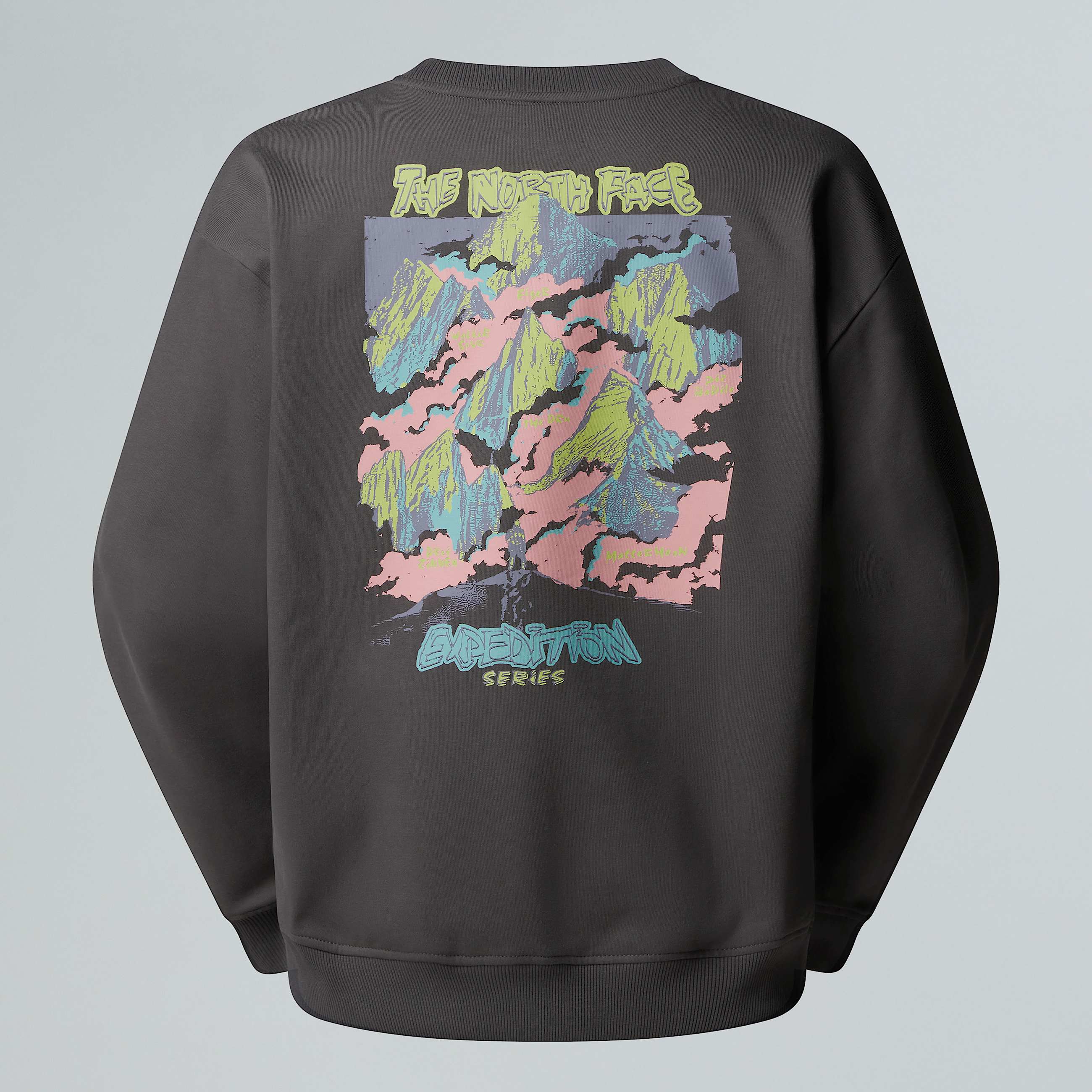 Unisex Expedition Celebration Oversized Sweatshirt TNF HERO