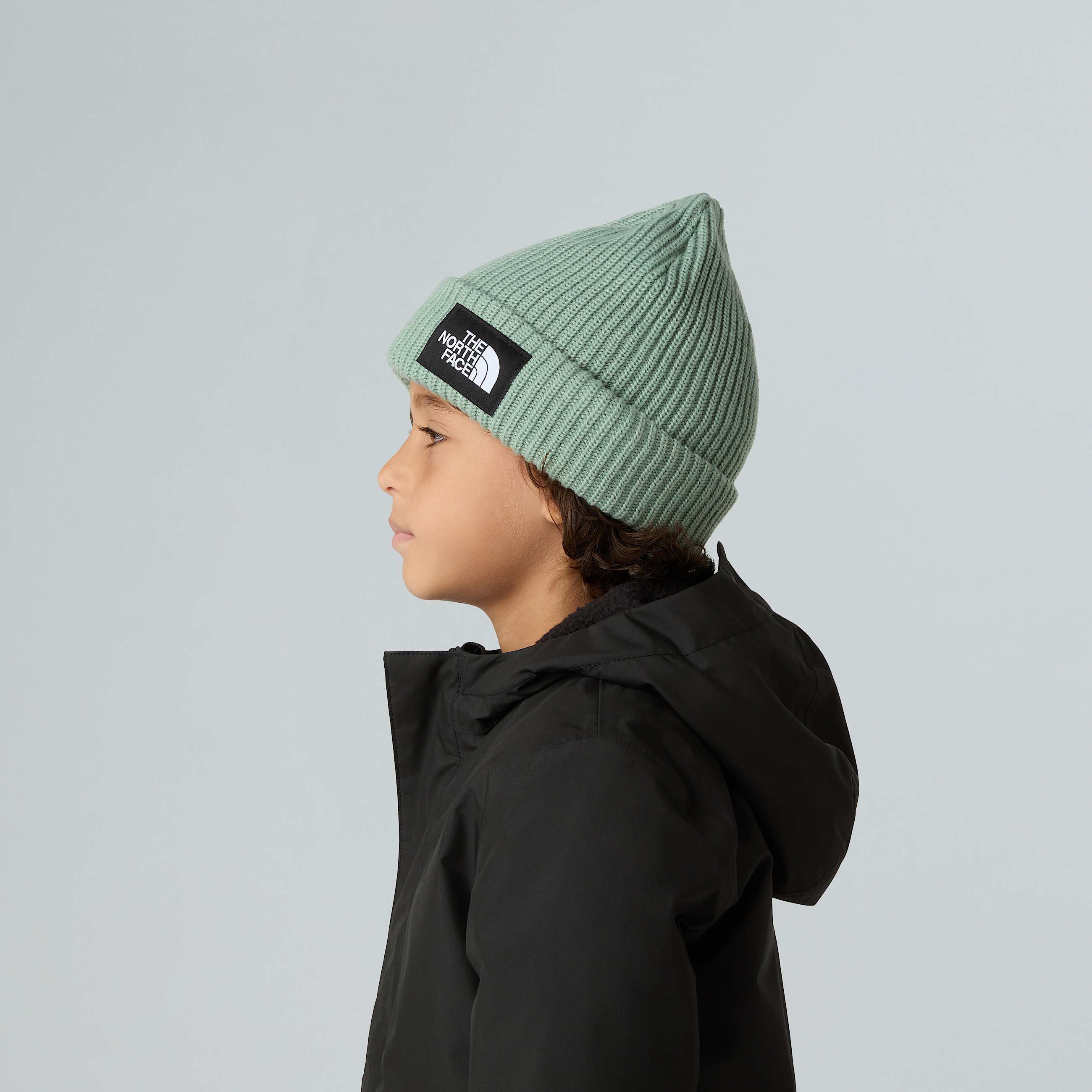 Kids Salty Lined Beanie TNF ALT4