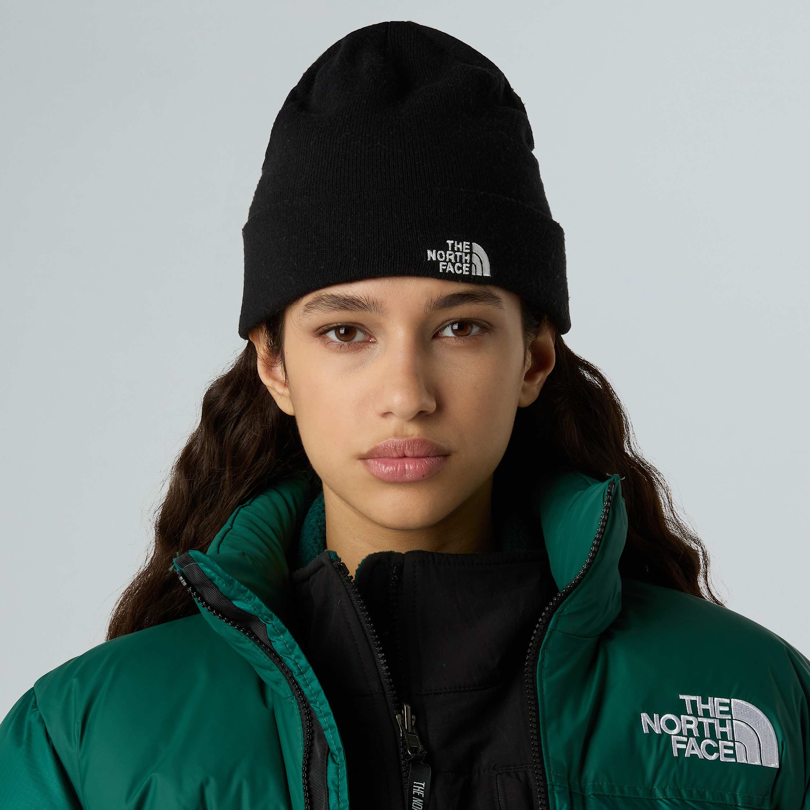 Beanie Norm Shallow TNF ALT1