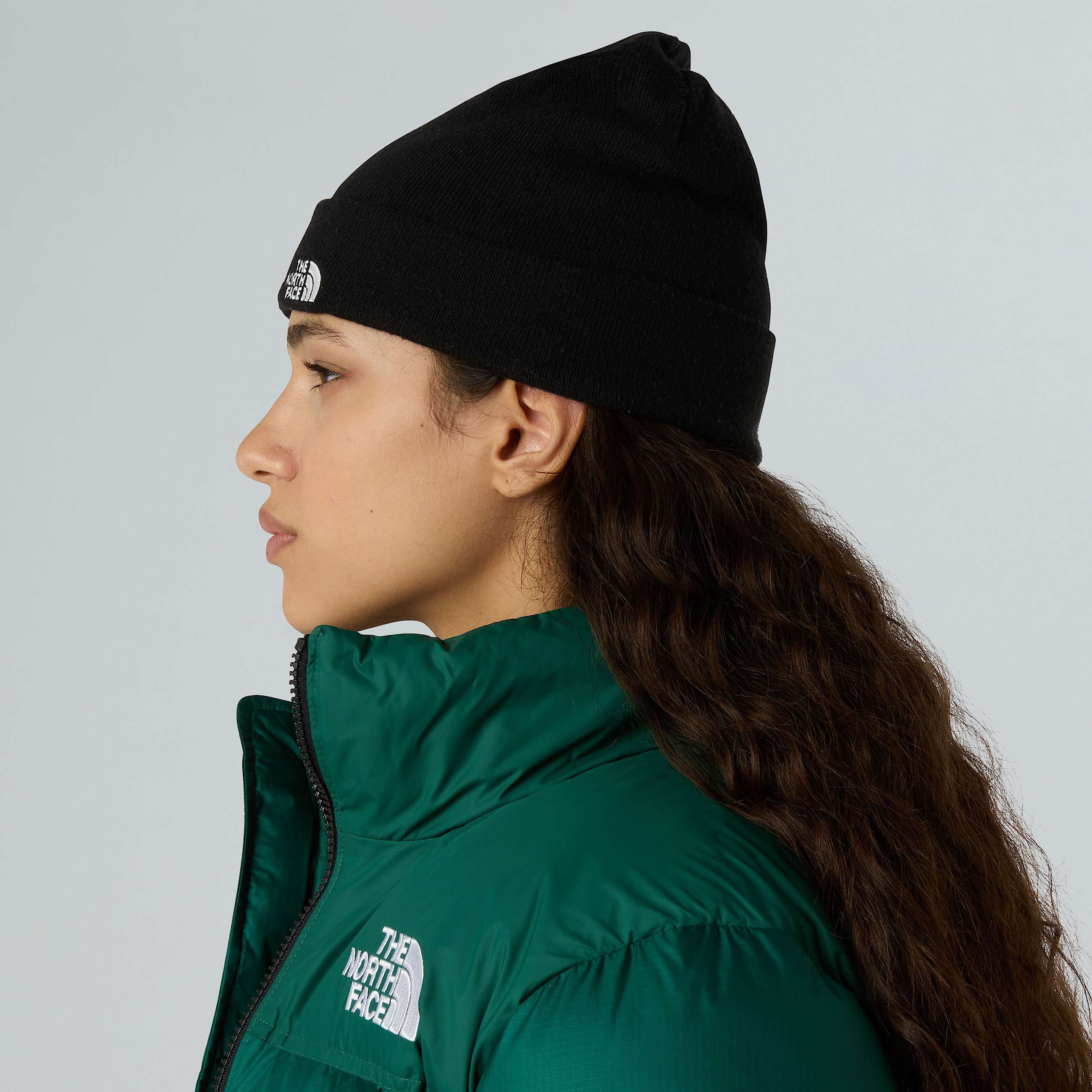 Beanie Norm Shallow TNF ALT3