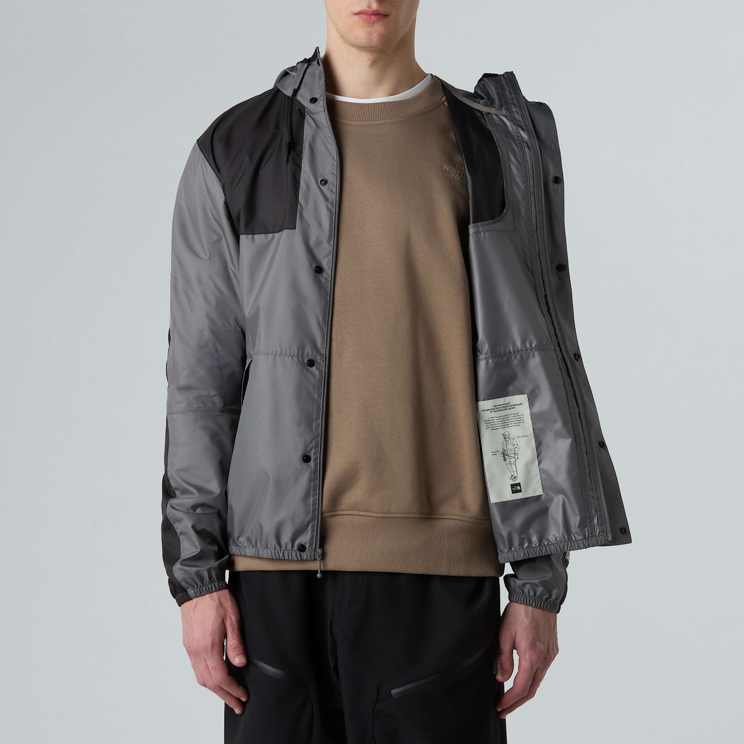 Mens Seasonal Mountain Jacket TNF ALT6