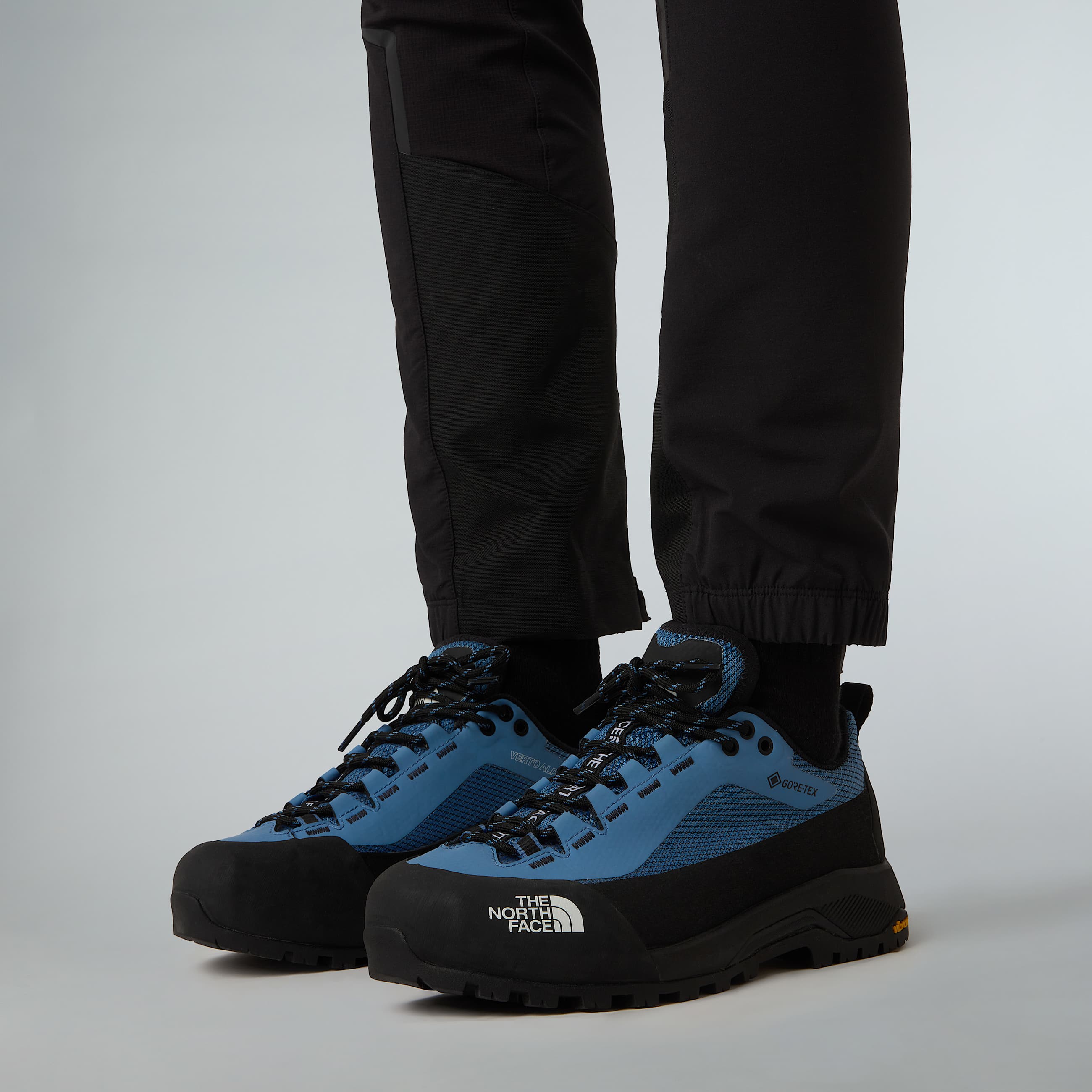 Verto GORETEX Alpine Shoes W TNF ALT4