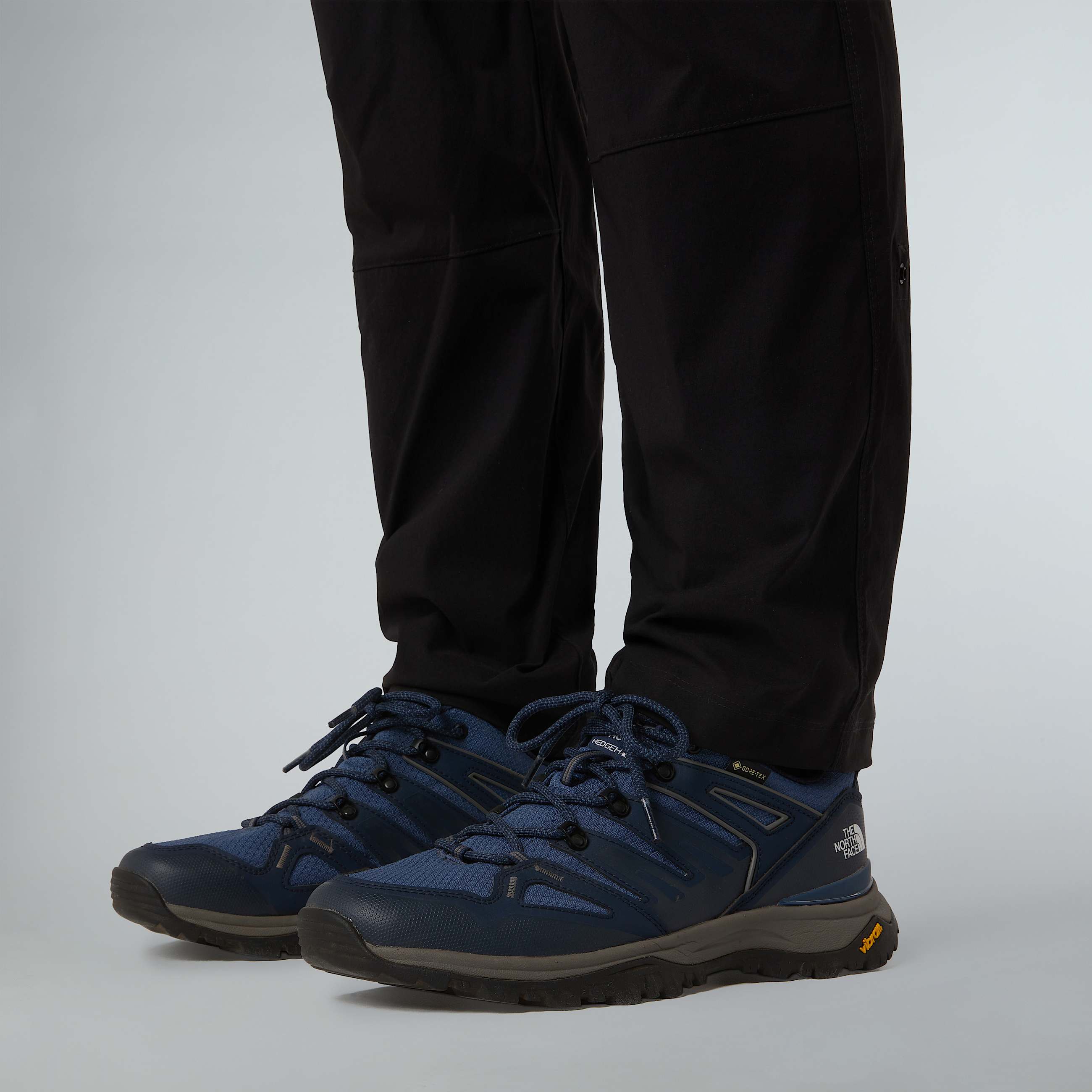 Scarpe da escursionismo Hedgehog GORETEX da uomo TNF ALT2