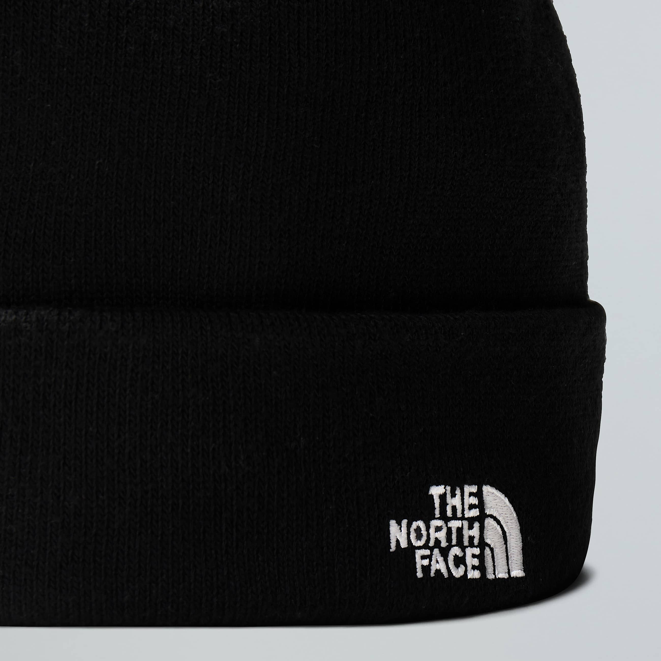 Beanie Norm Shallow TNF ALT2
