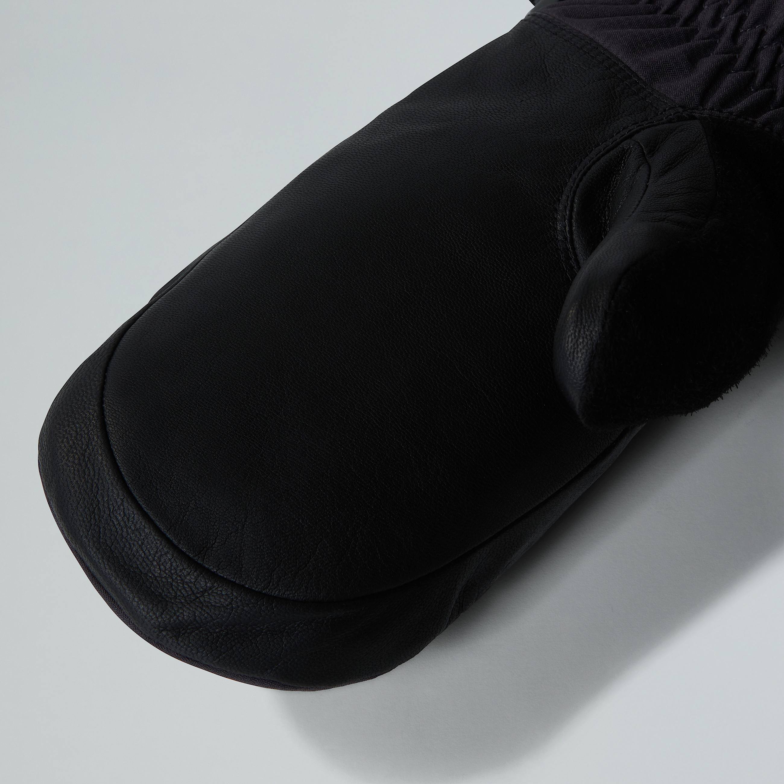 Montana Pro GORETEX Mitten TNF ALT2