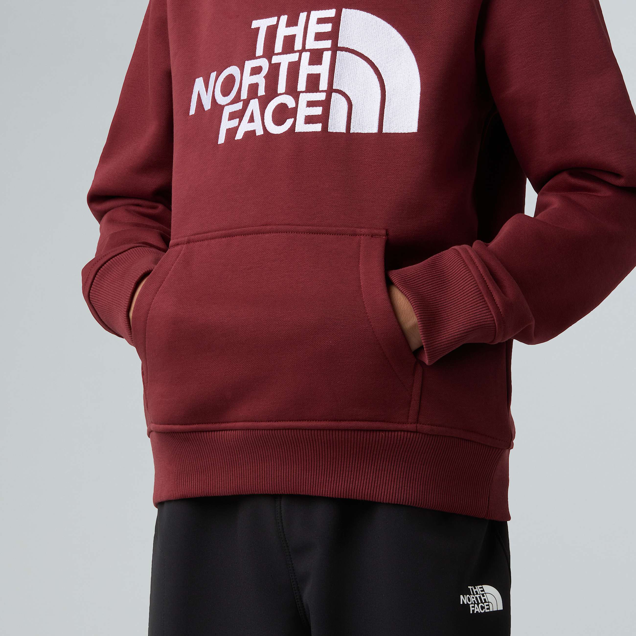 Drew Peak Pullover Hoodie Junior TNF ALT4