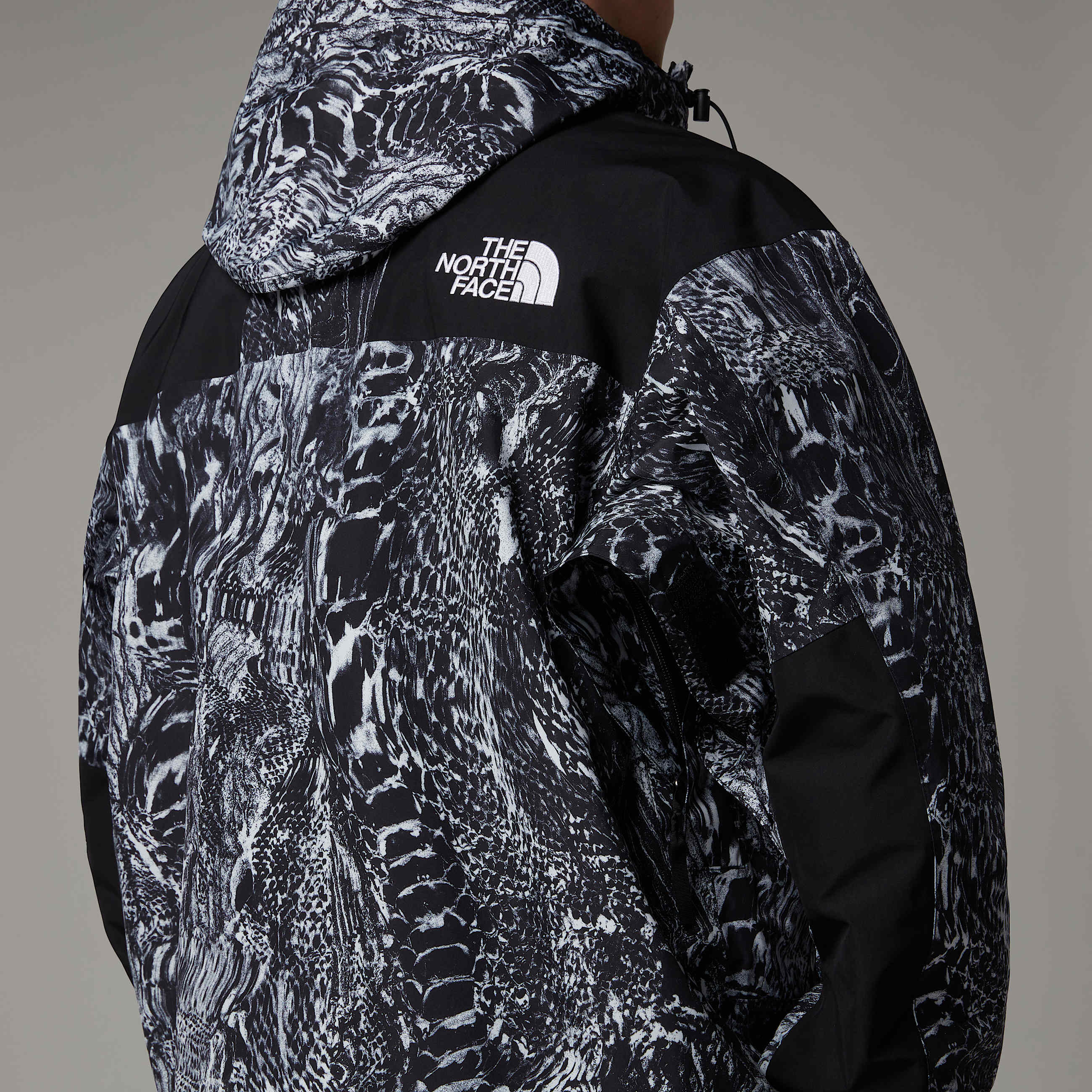 GORETEX Mountain Jacket TNF ALT10