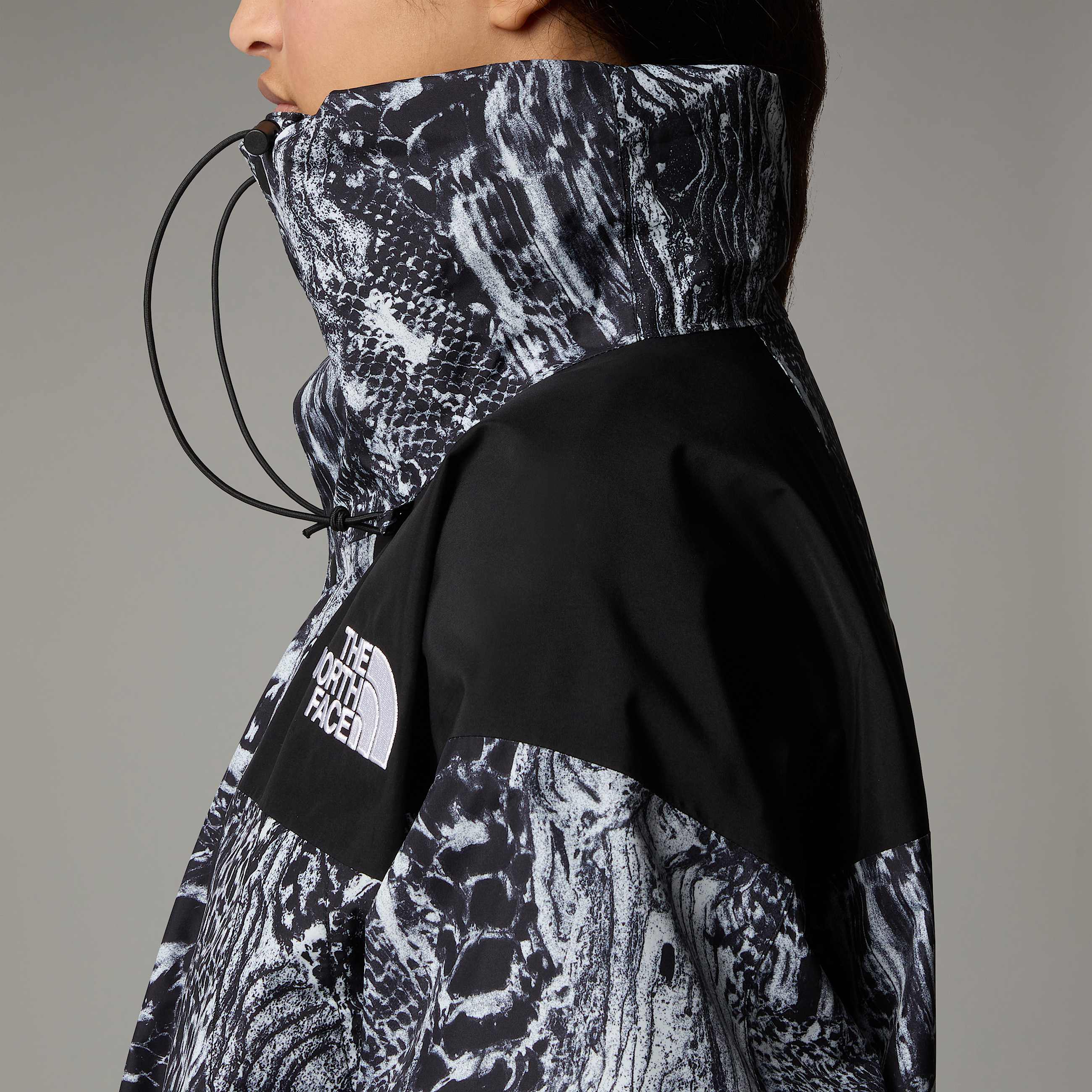 GORETEX Mountain Jacket TNF ALT19