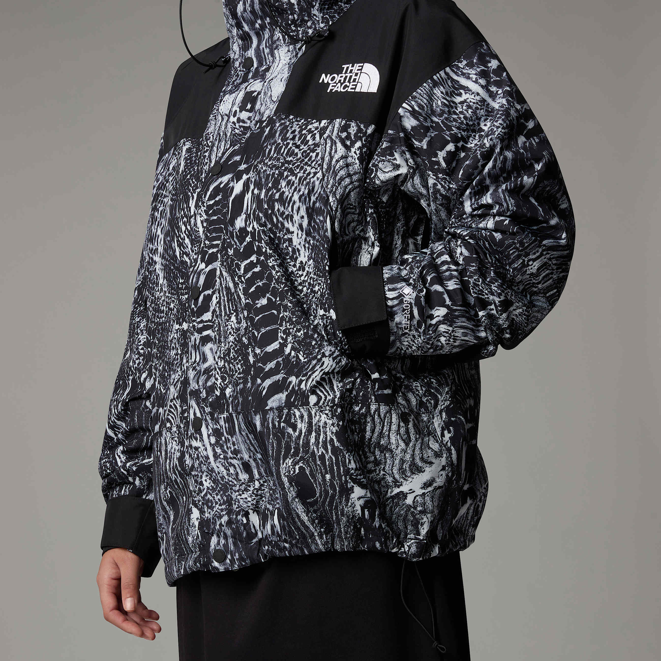 GORETEX Mountain Jacket TNF ALT20