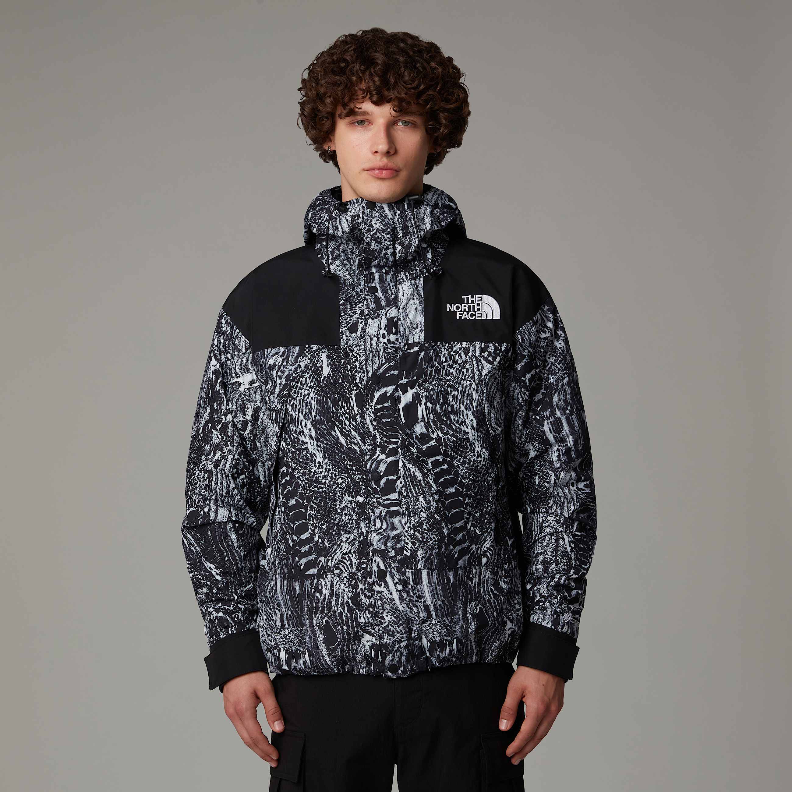 GORETEX Mountain Jacket TNF ALT4