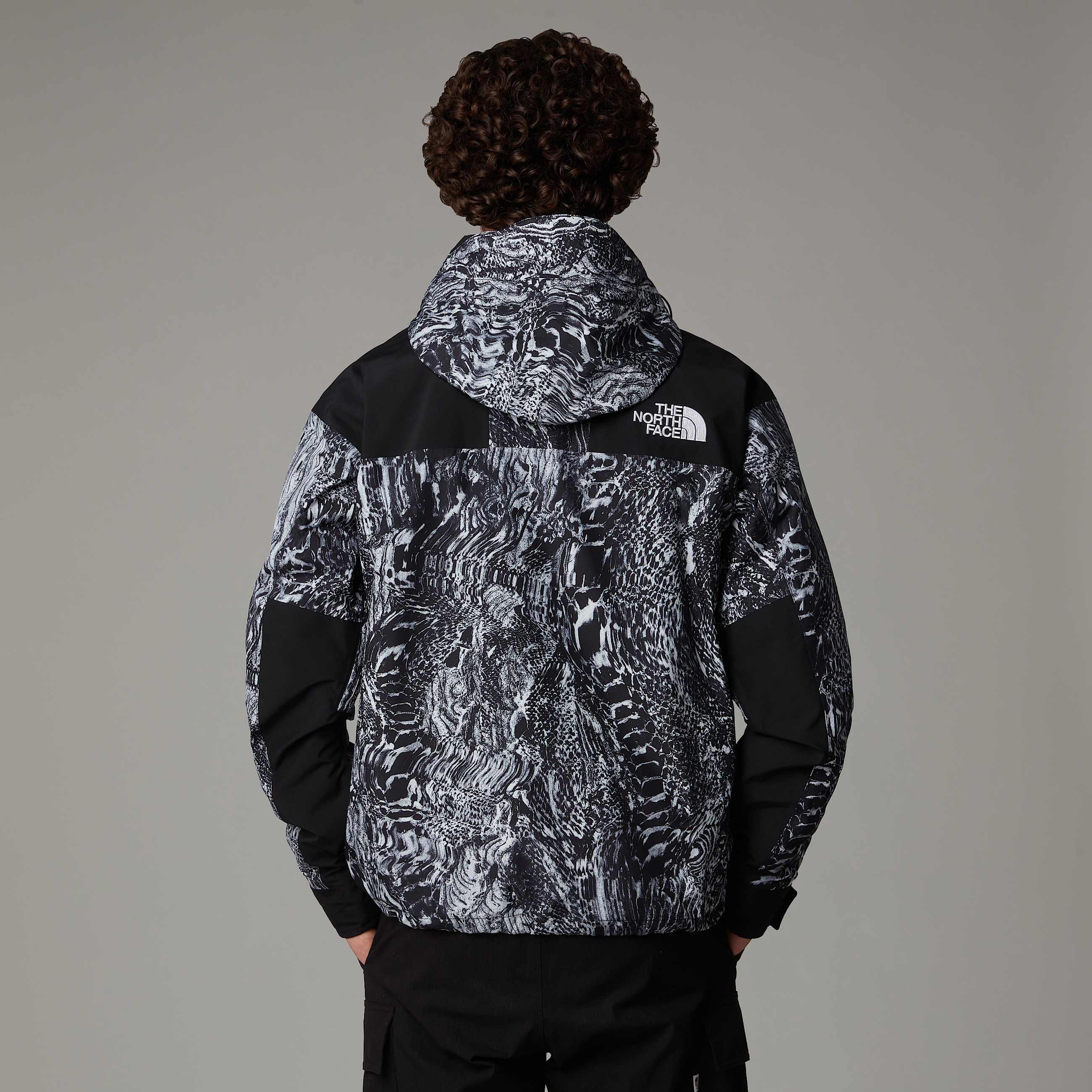 GORETEX Mountain Jacket TNF ALT6