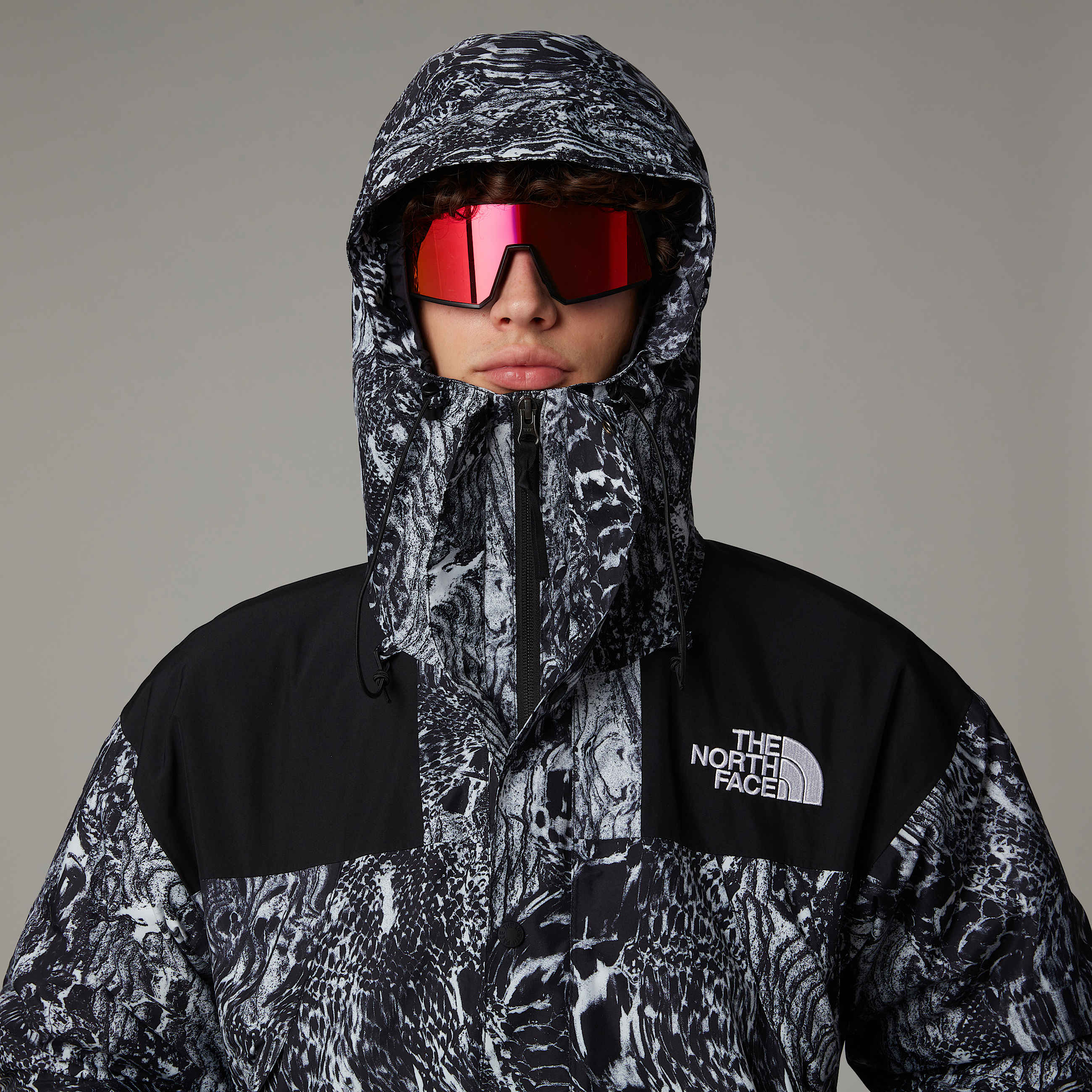 GORETEX Mountain Jacket TNF ALT8