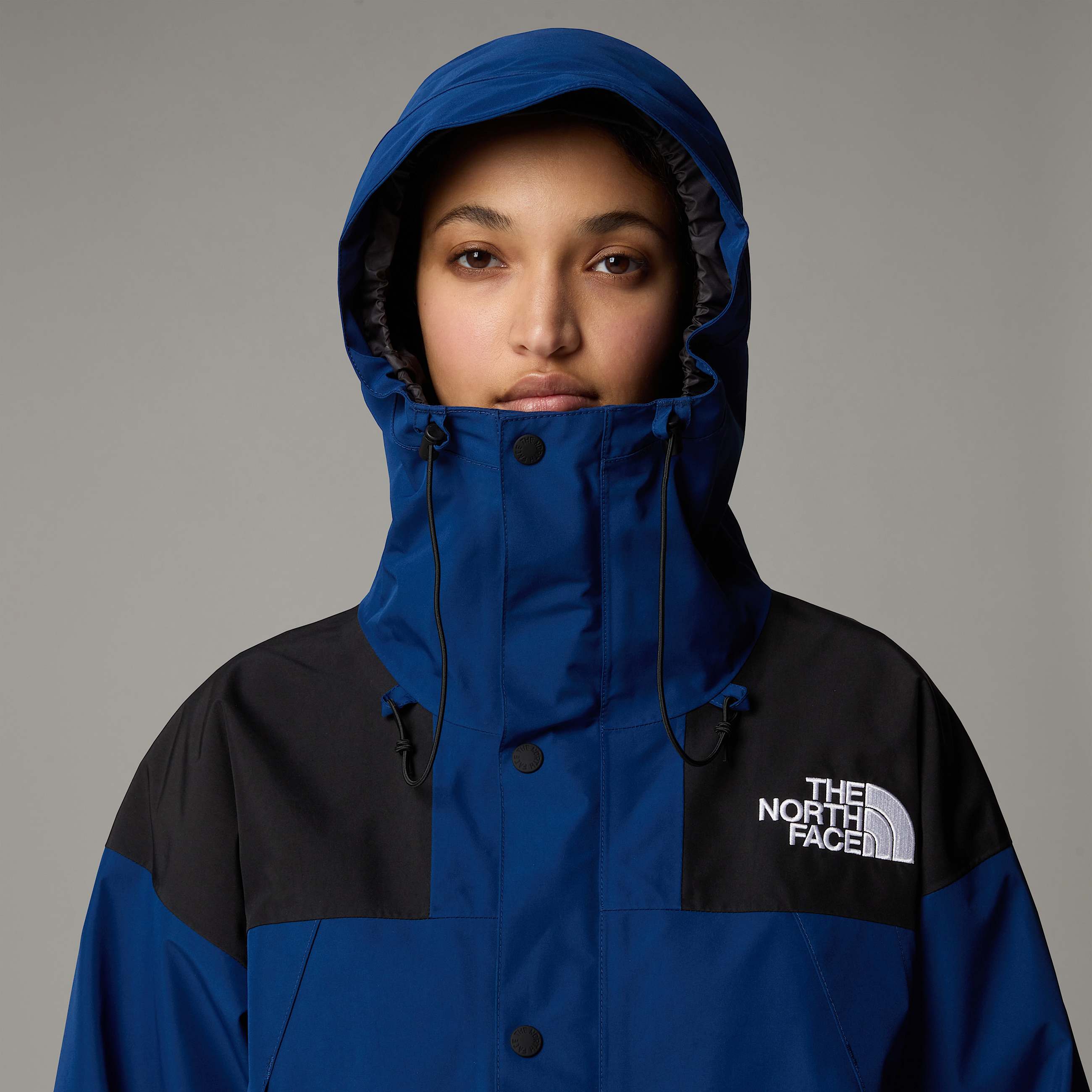 Giacca GORETEX Mountain TNF ALT17