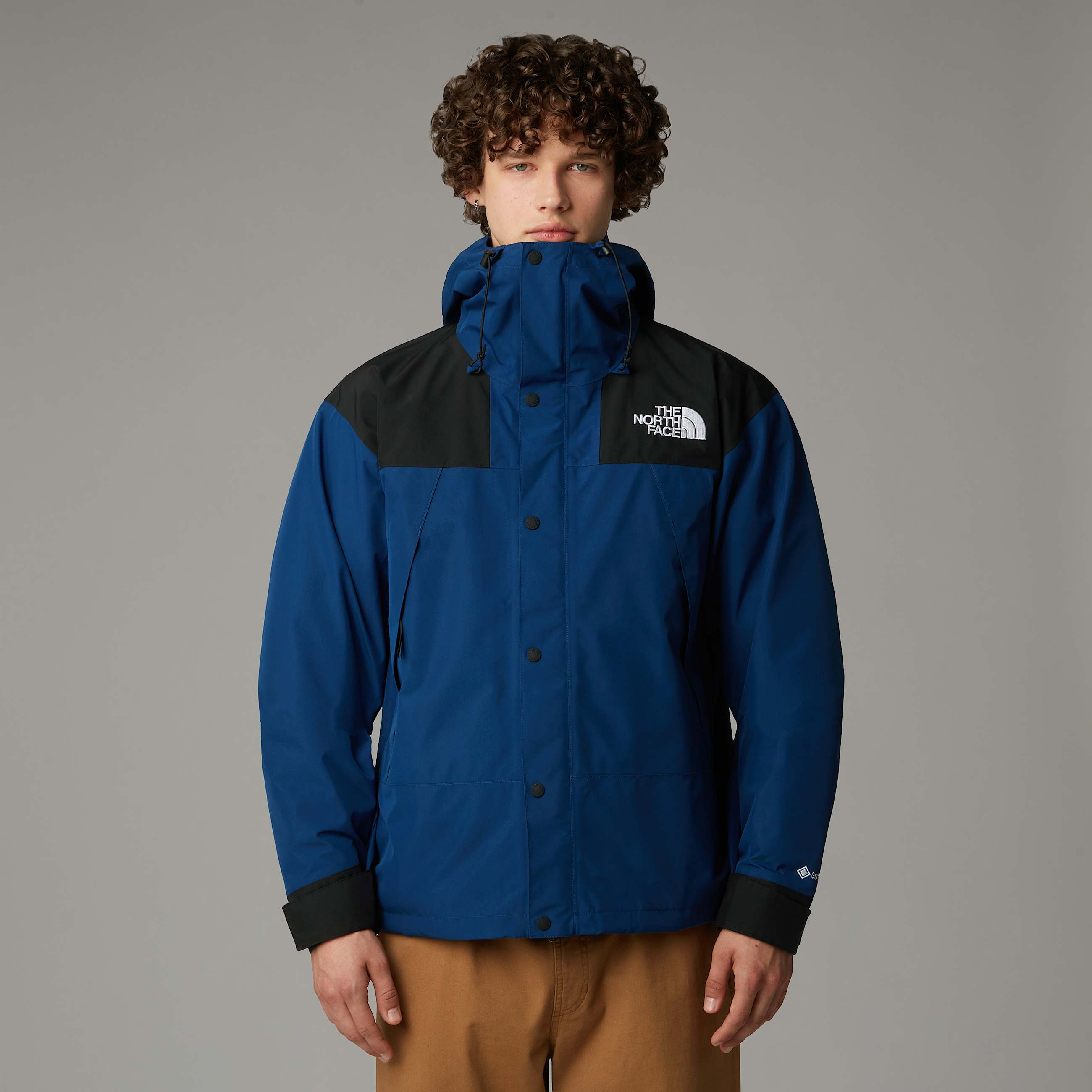 GORETEX Mountain Jacket TNF ALT4