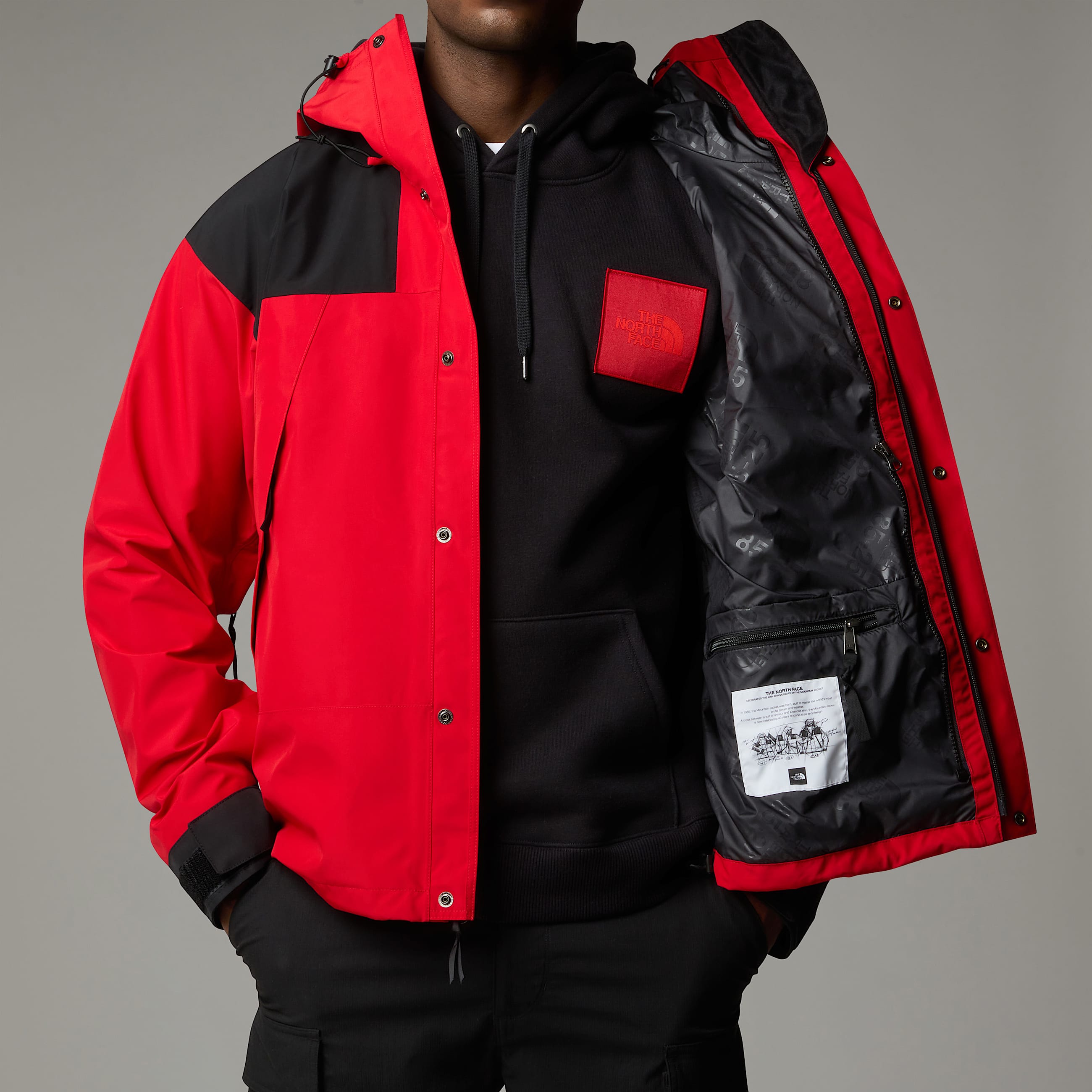 GORETEX Mountain Jacket TNF ALT12