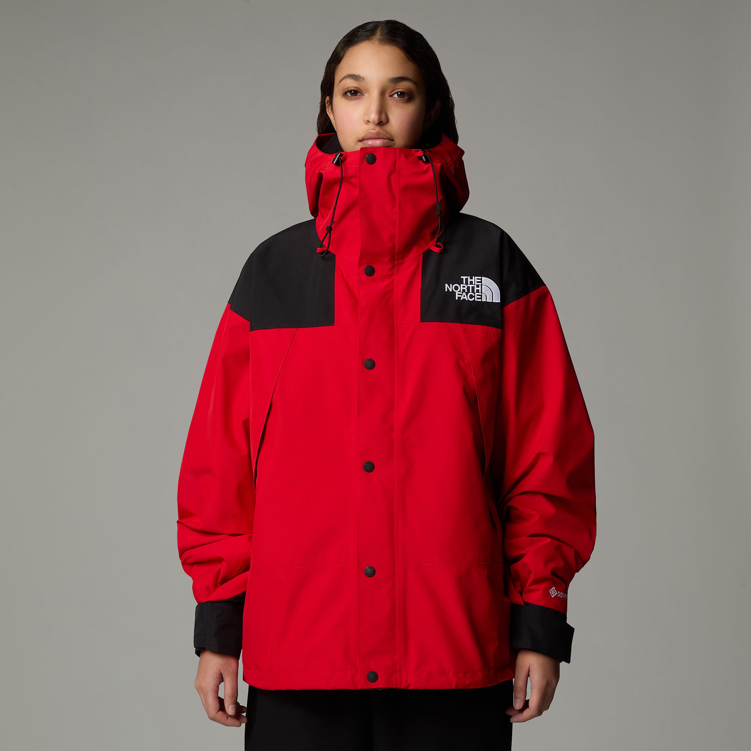 GORETEX Mountain Jacket TNF ALT14