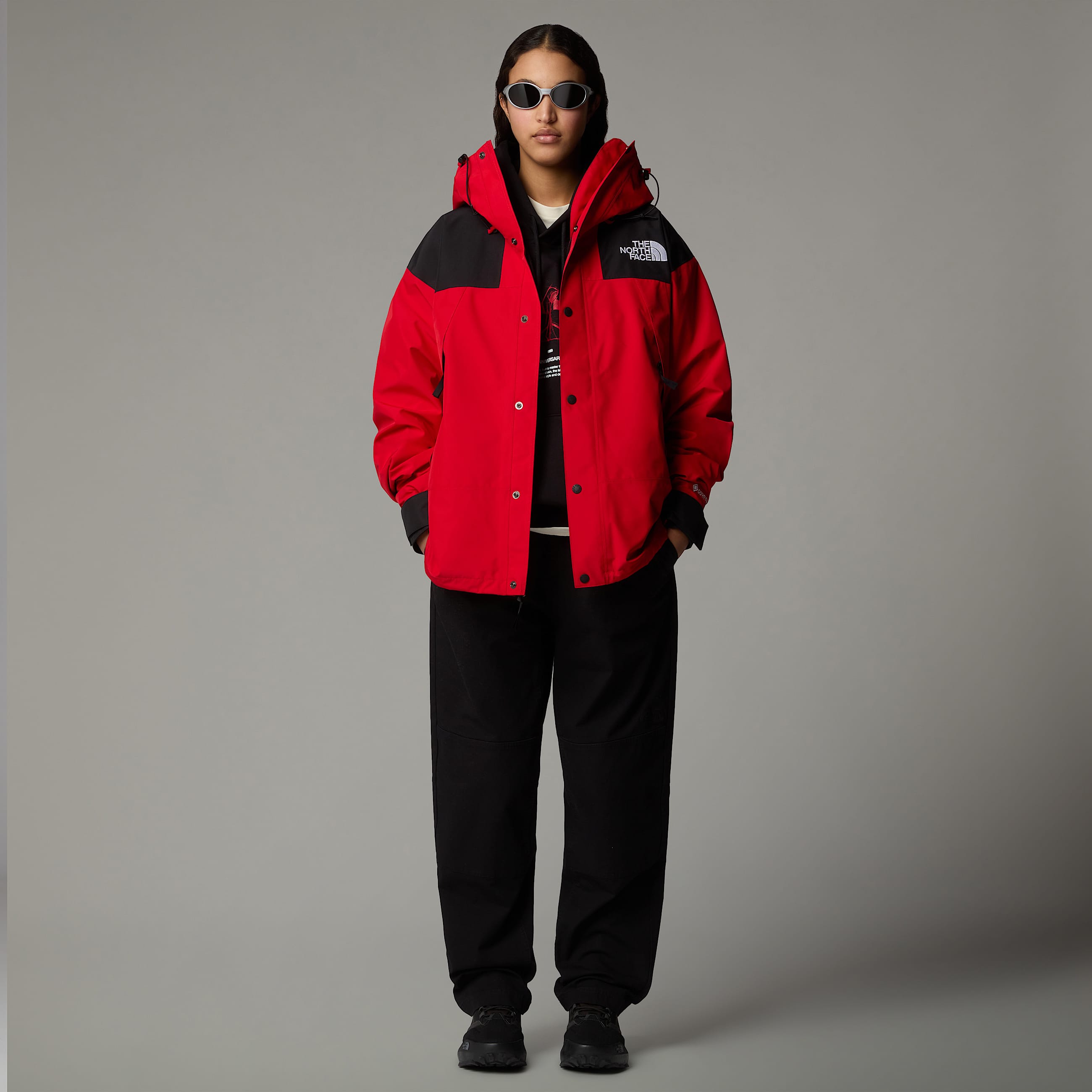 GORETEX Mountain Jacket TNF ALT15