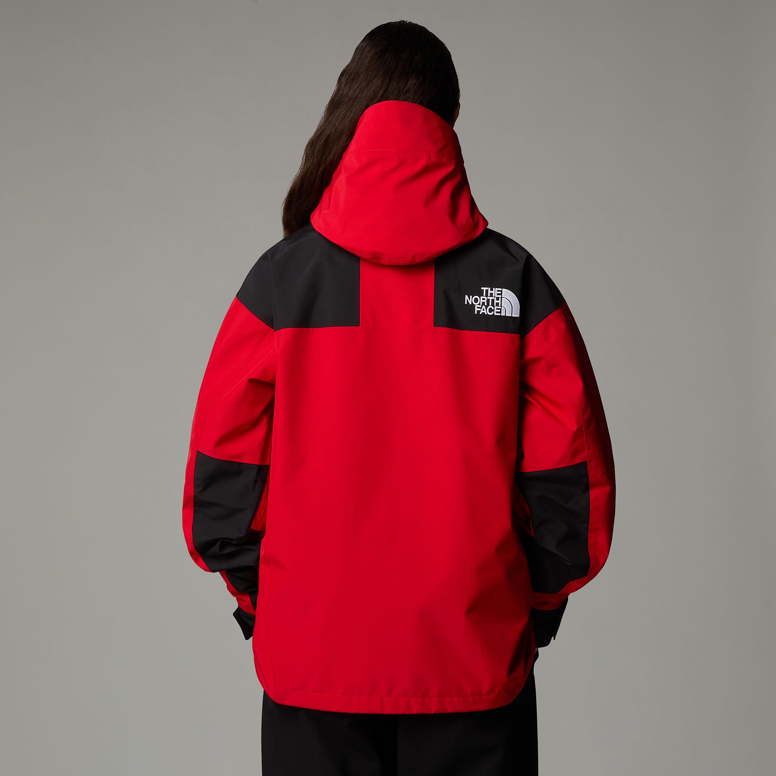 GORETEX Mountain Jacket TNF ALT16