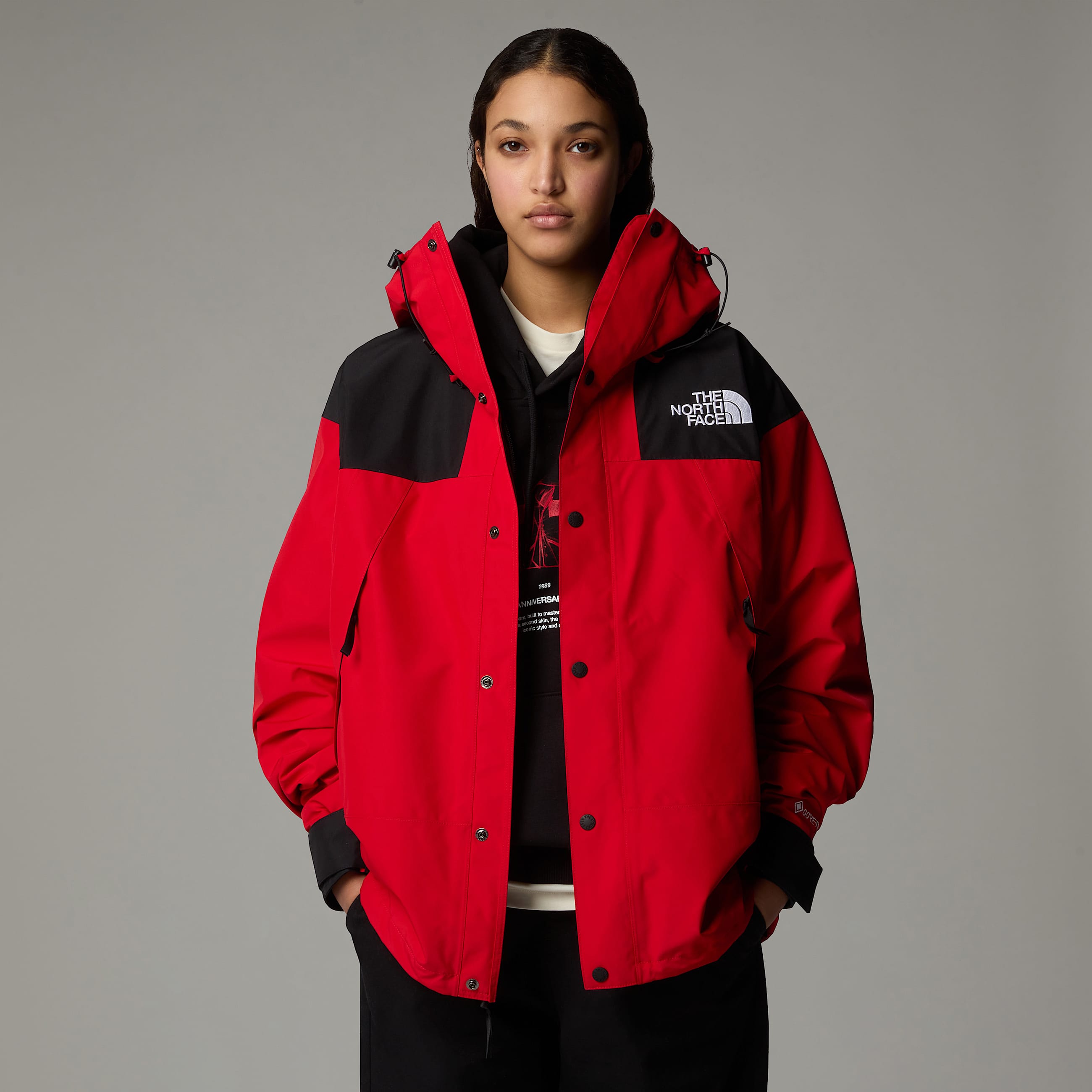 GORETEX Mountain Jacket TNF ALT17