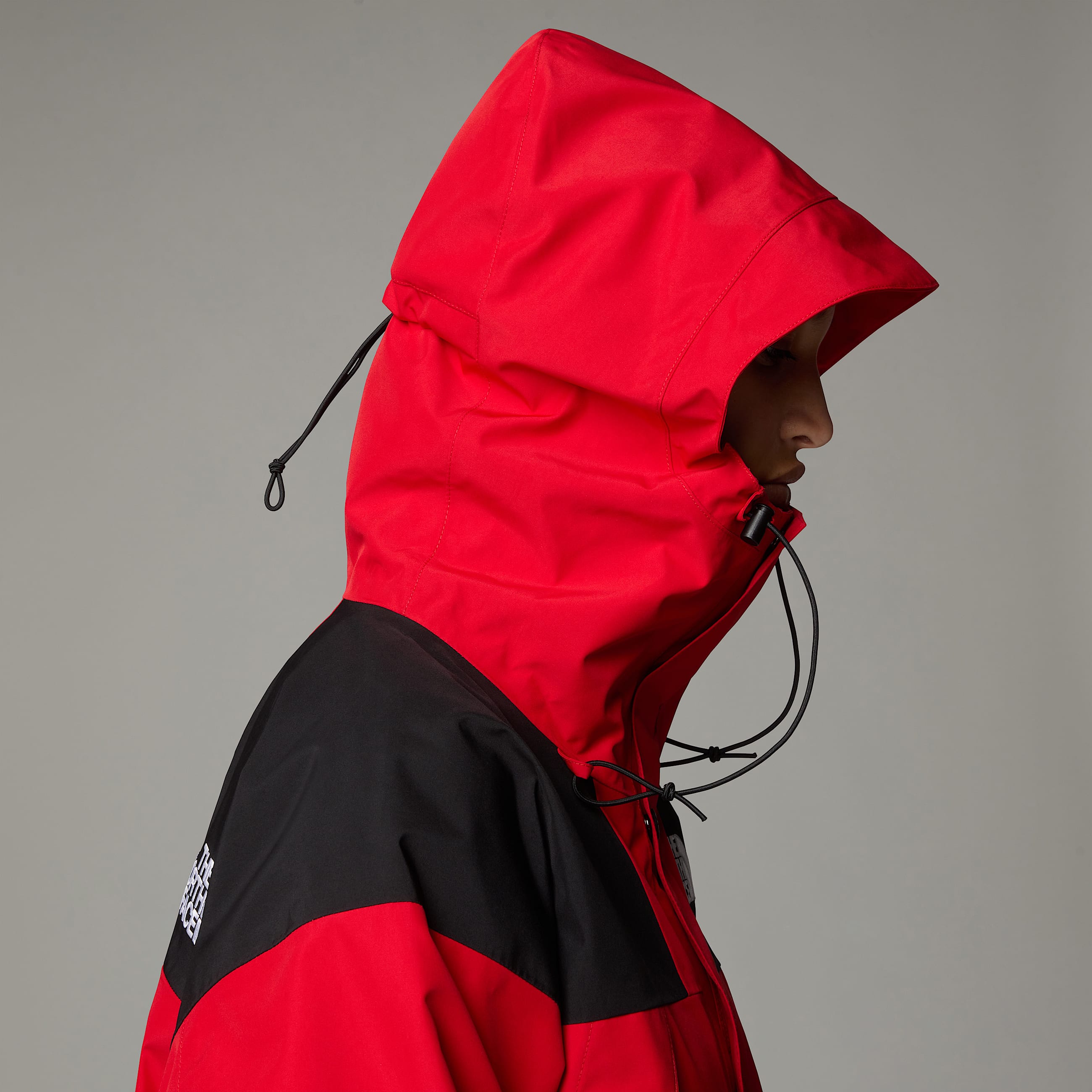 GORETEX Mountain Jacket TNF ALT19