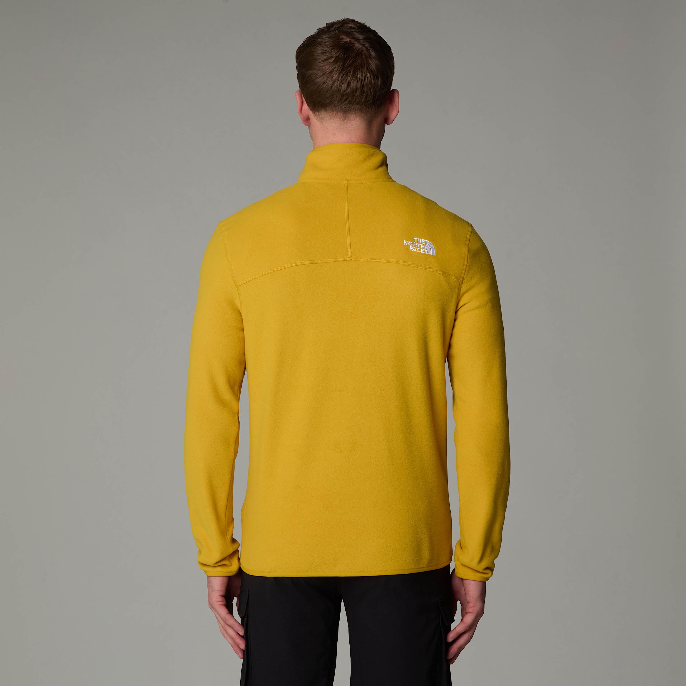 Mens 100 Glacier 14 Zip Fleece TNF ALT6