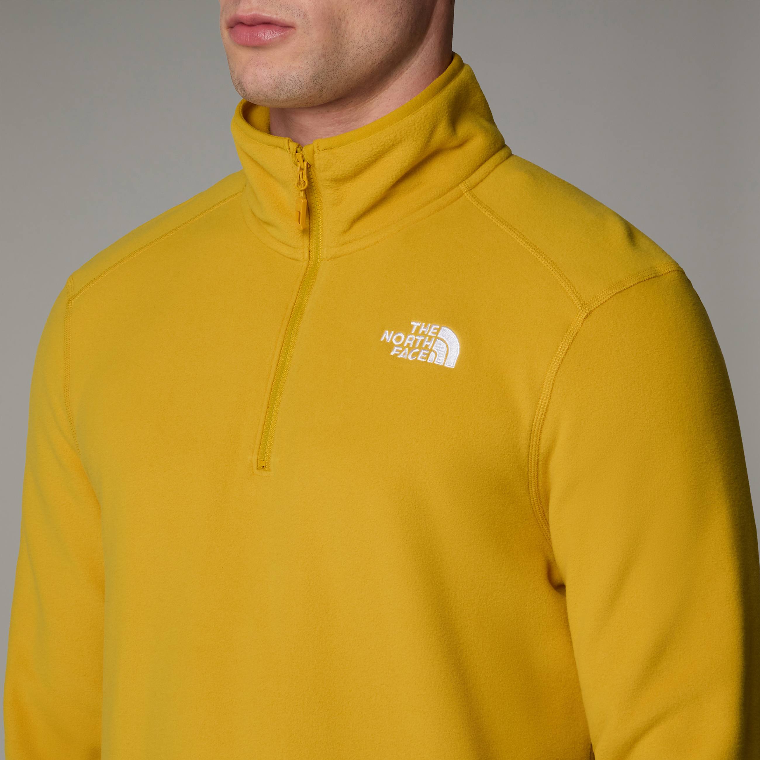 Mens 100 Glacier 14 Zip Fleece TNF ALT8