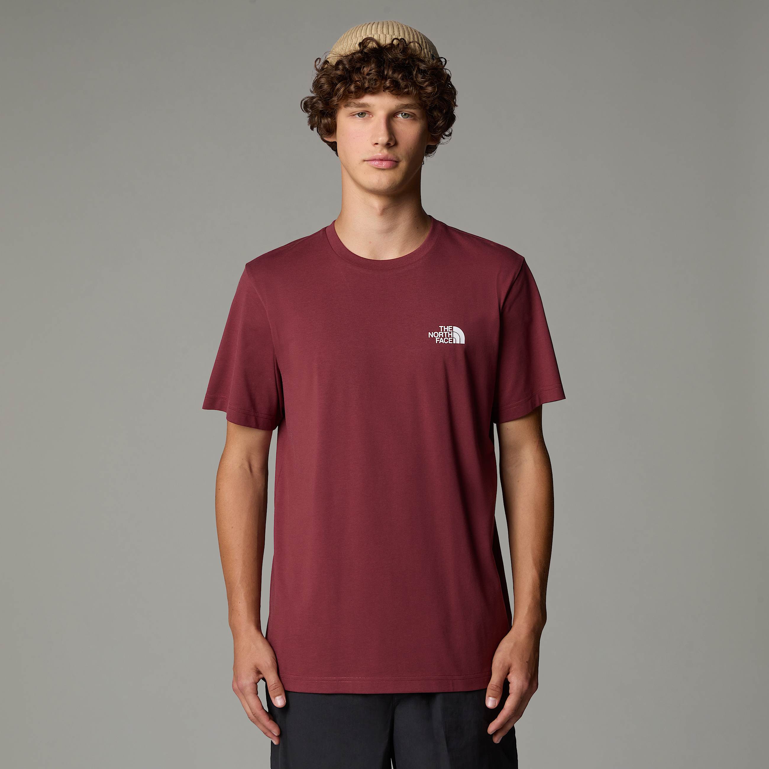 Tshirt Simple Dome da uomo TNF ALT4