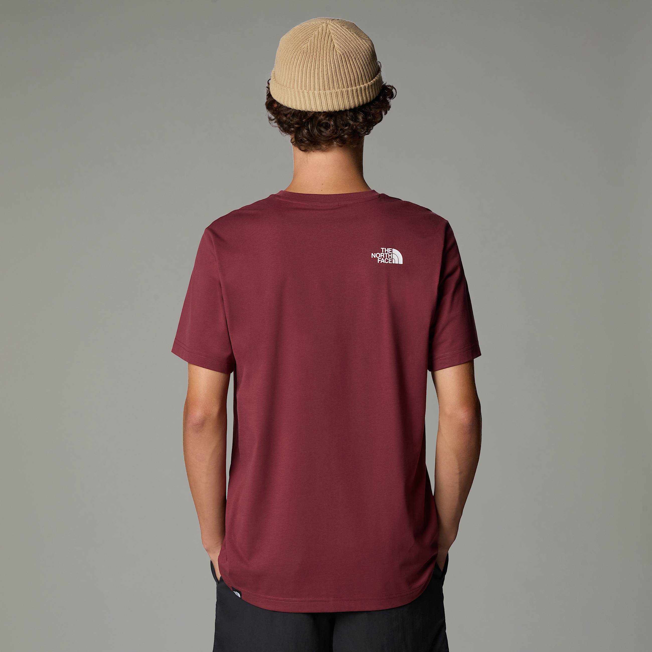 Tshirt Simple Dome da uomo TNF ALT6