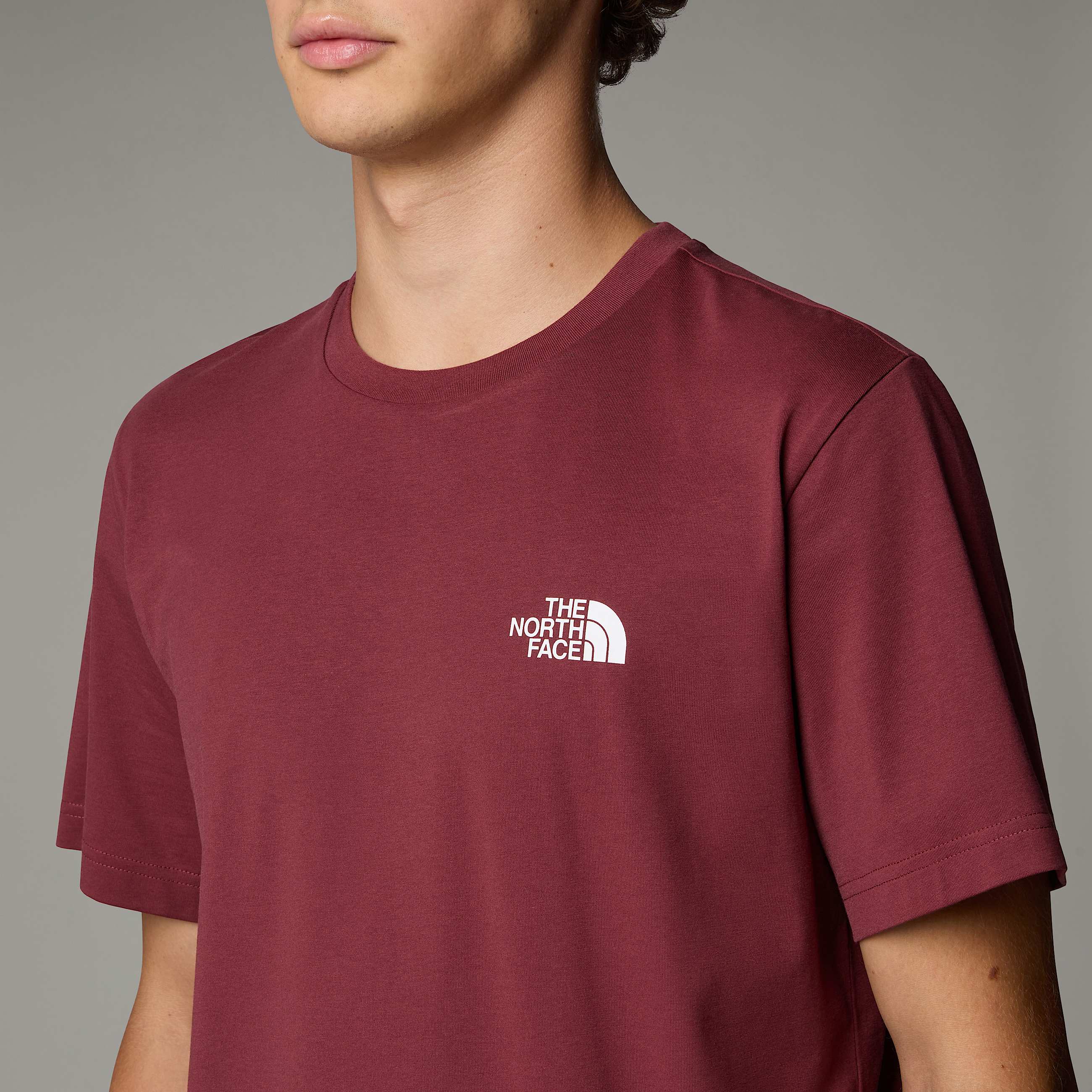 Tshirt Simple Dome da uomo TNF ALT7