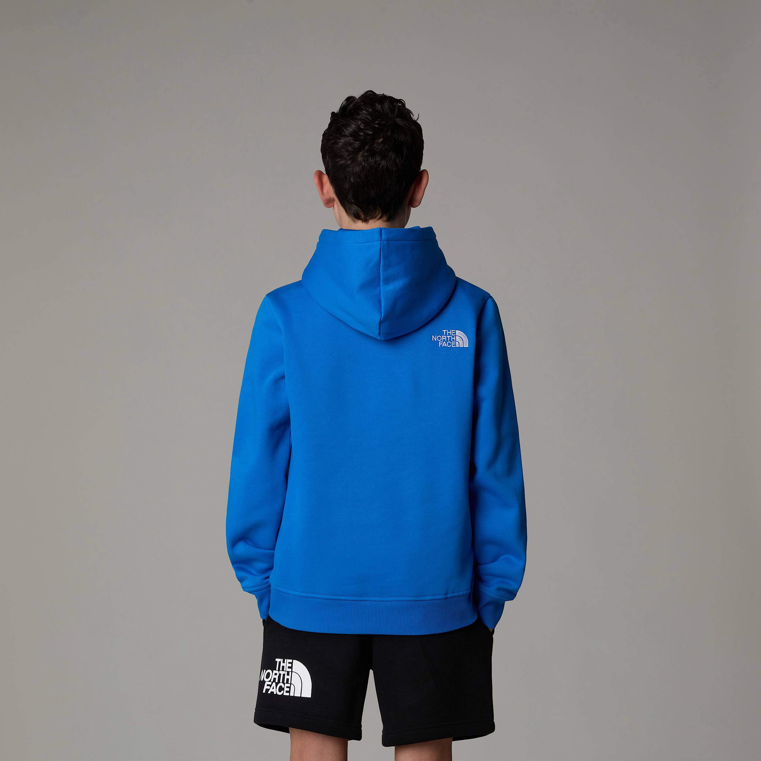 Boys Drew Peak Hoodie TNF ALT6