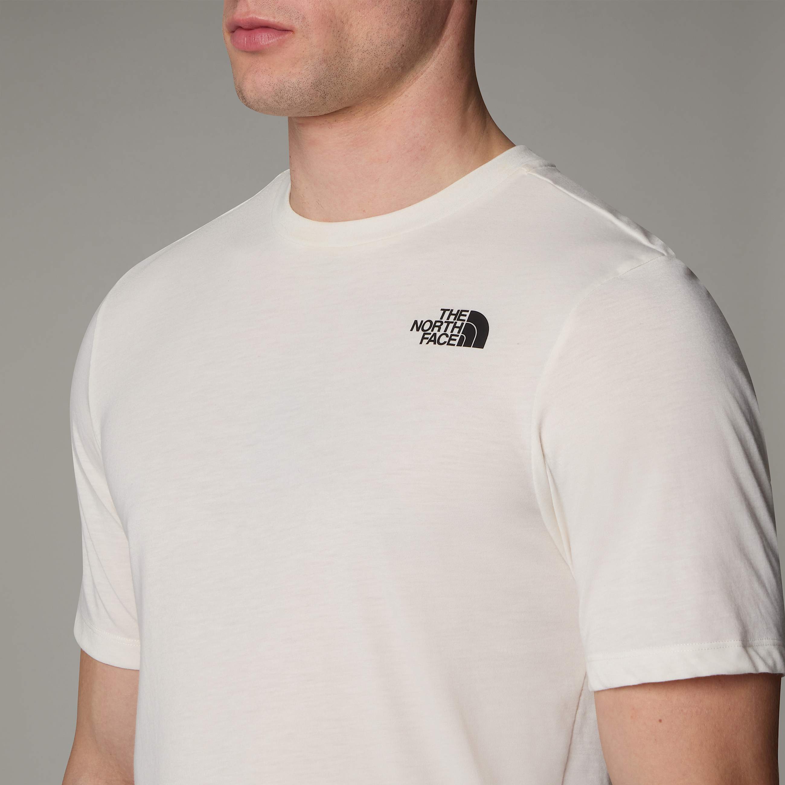 Tshirt Foundation Mountain da uomo TNF ALT7