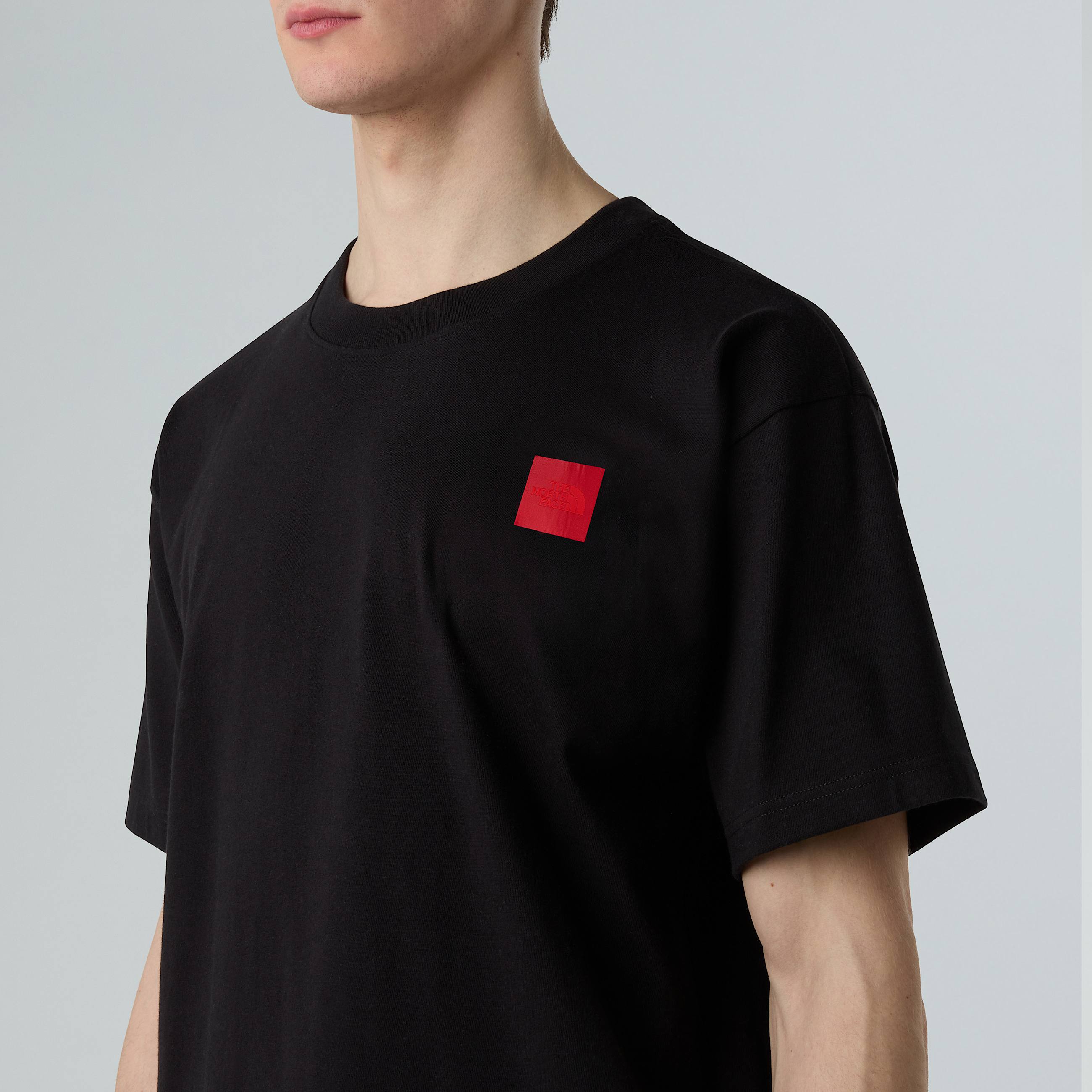 Tshirt Mountain Jacket 40th Anniversary Heavyweight para homem TNF ALT7