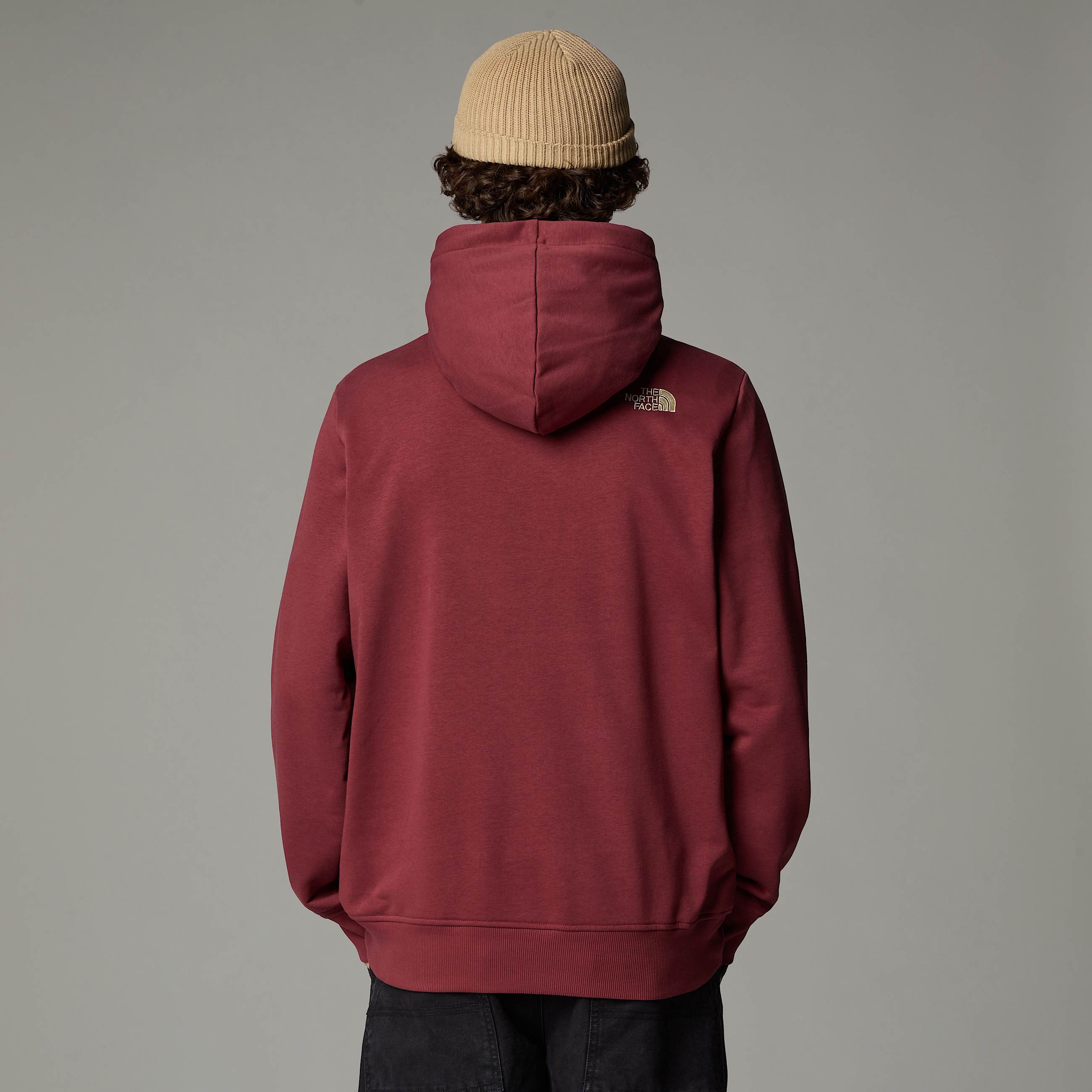 Felpa con cappuccio Drew Peak Light da uomo TNF ALT6