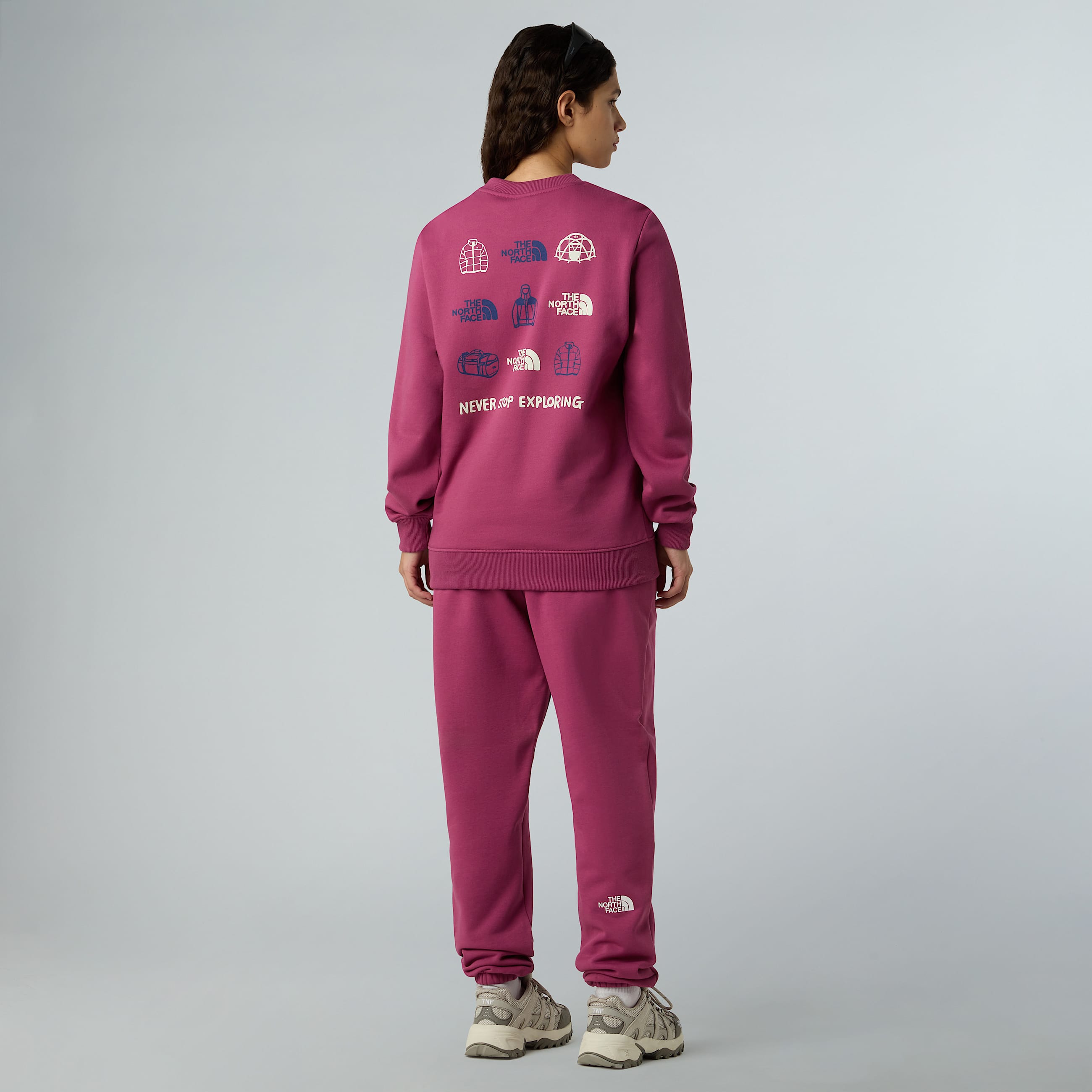 Felpa Outdoor Graphic da donna TNF ALT6