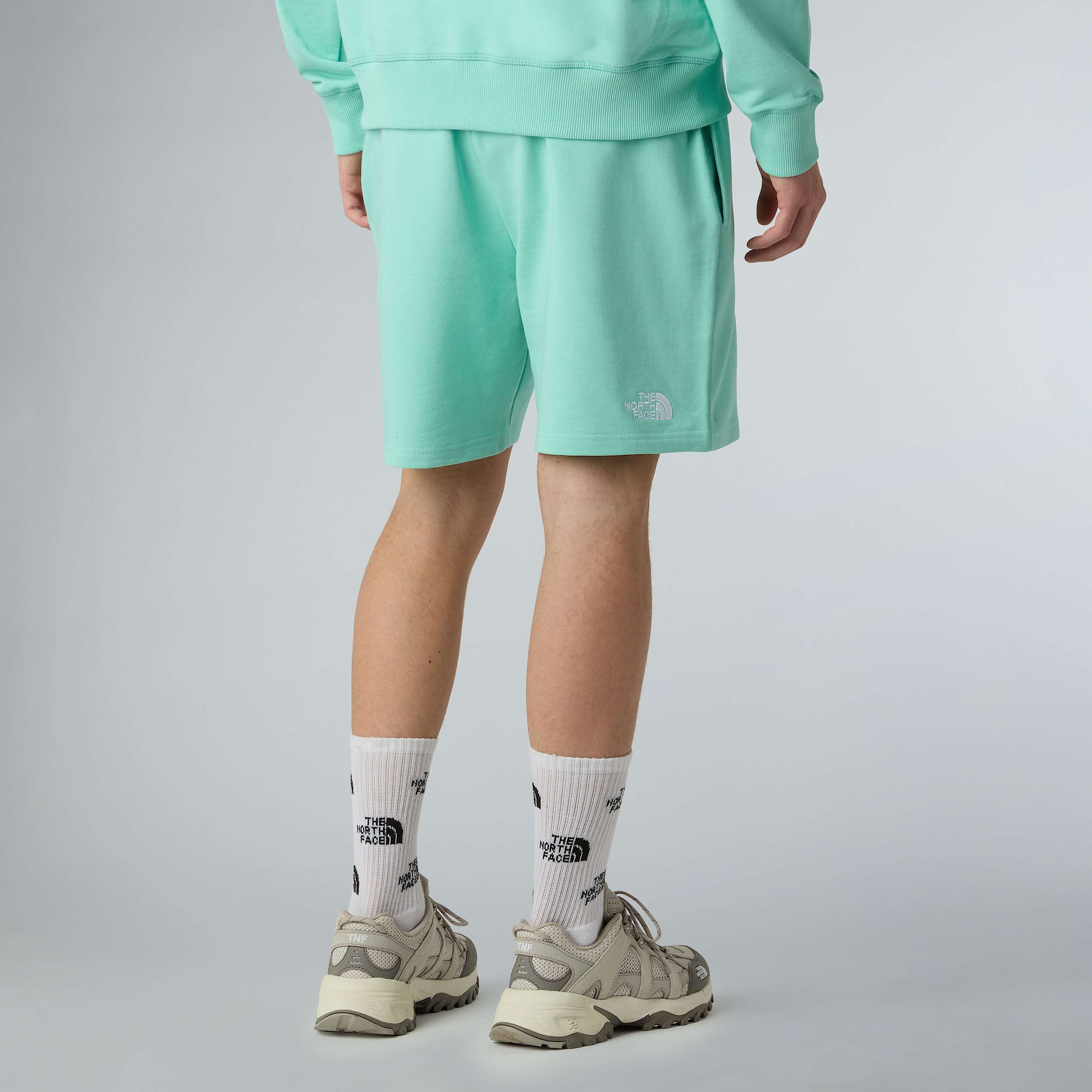 Essential Lite Shorts M TNF ALT7