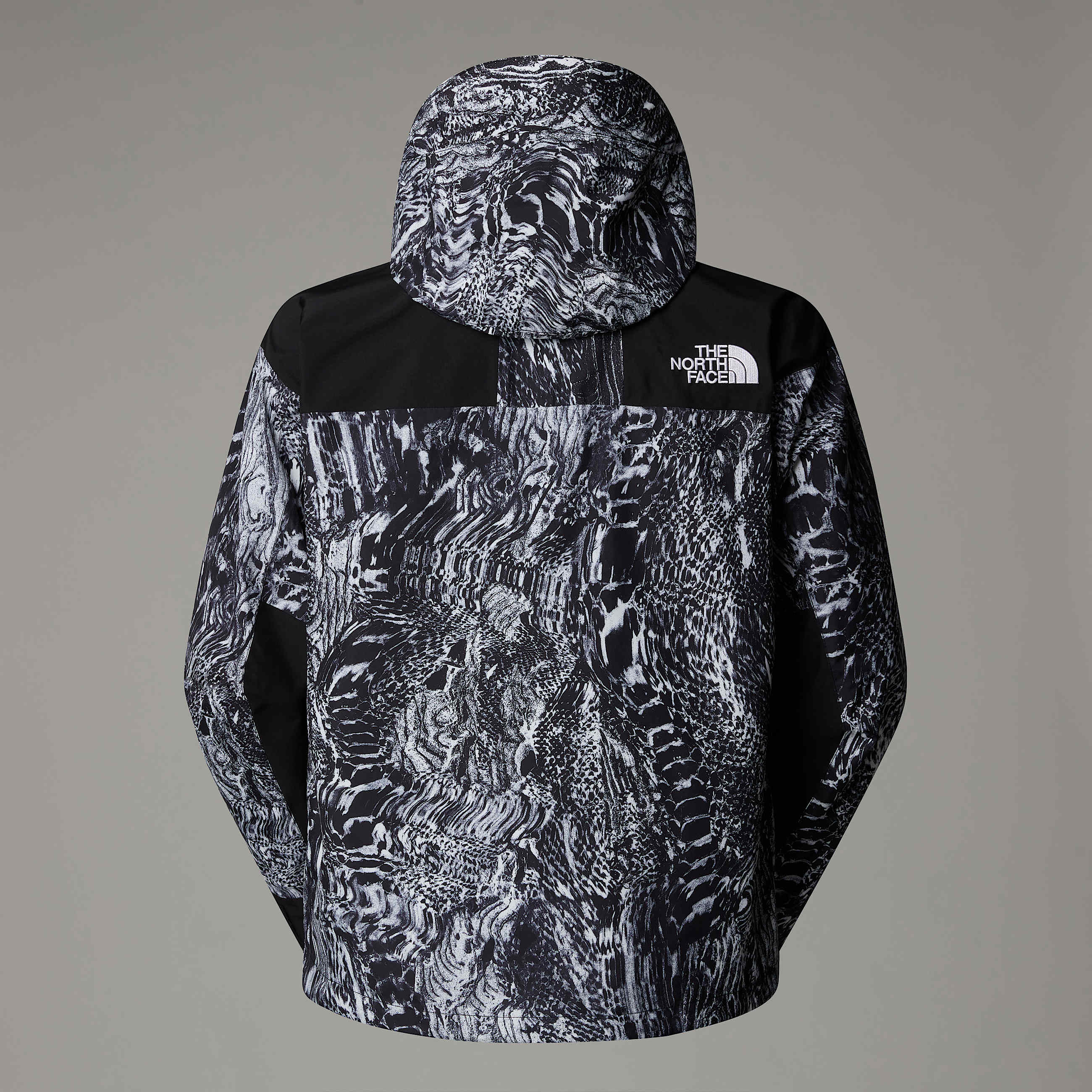 GORETEX Mountain Jacket TNF ALT1