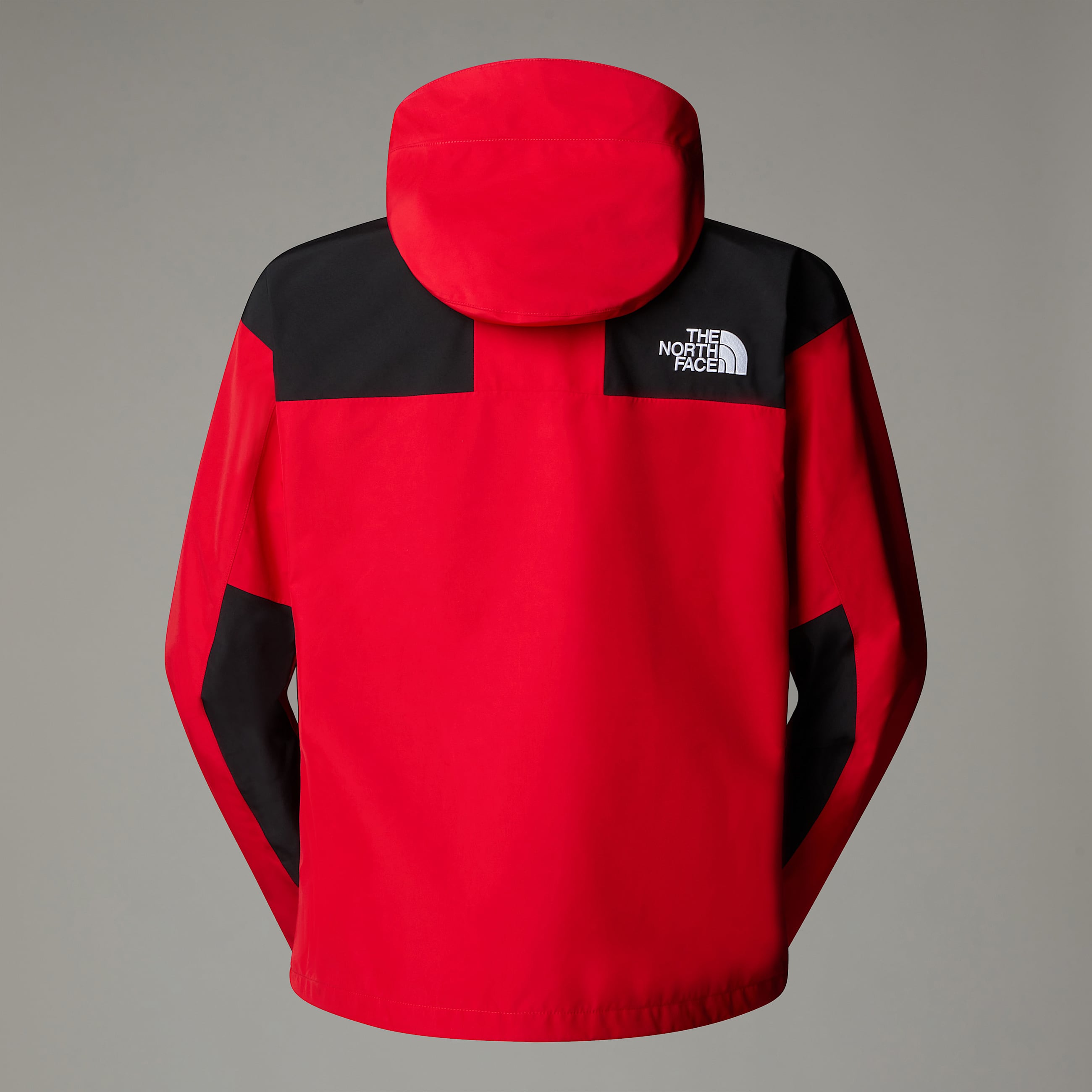 GORETEX Mountain Jacket TNF ALT1