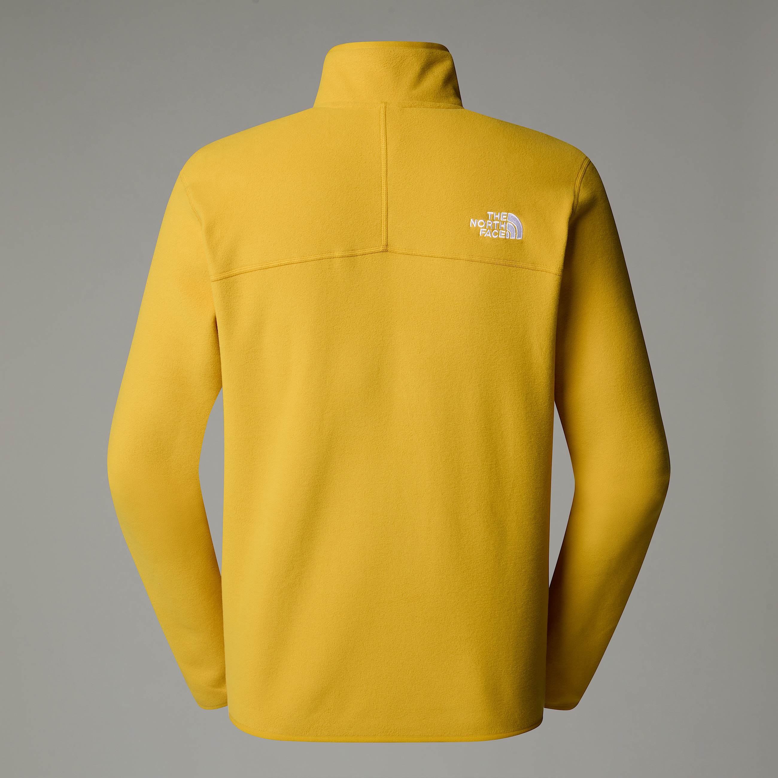 Mens 100 Glacier 14 Zip Fleece TNF ALT1