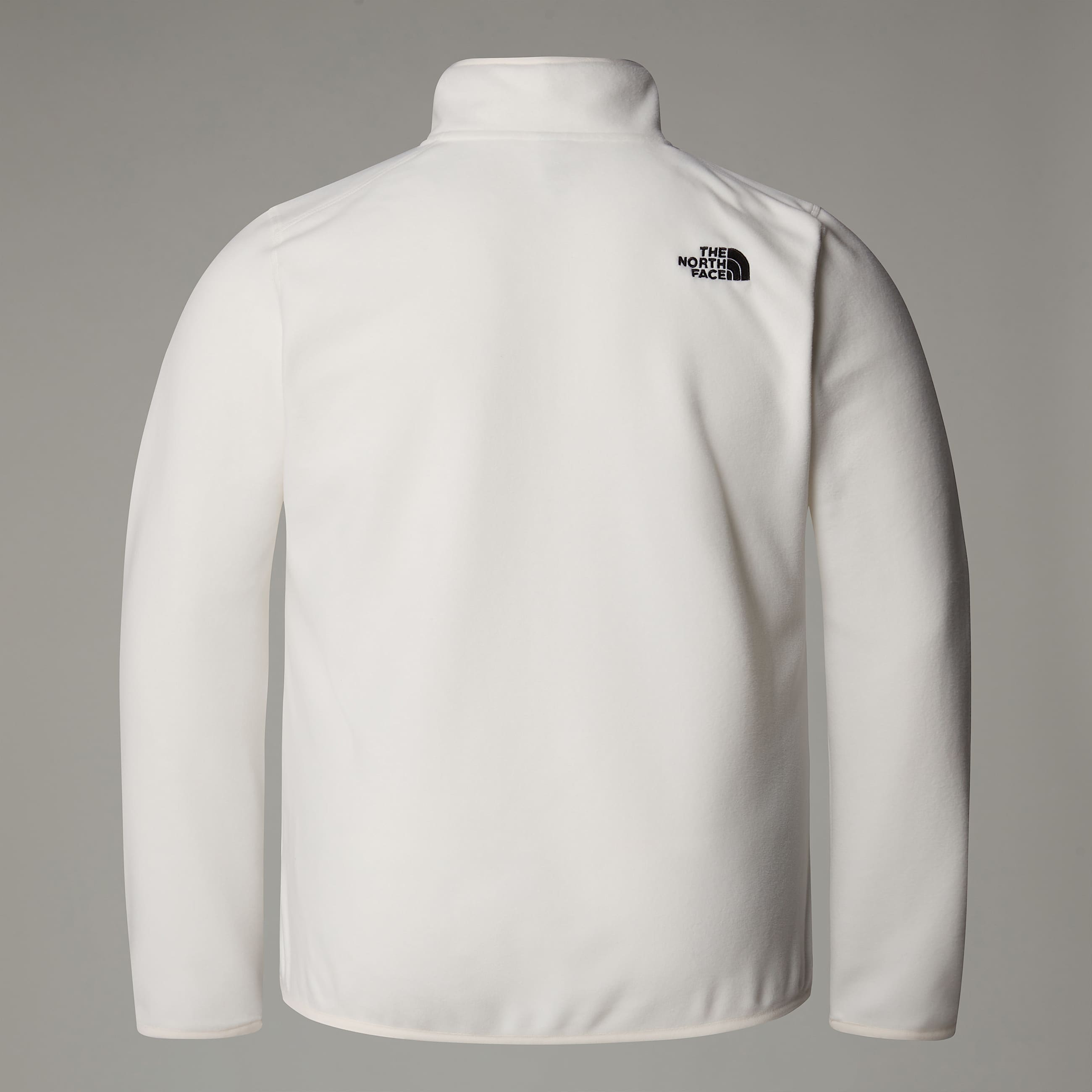 Plus Size 100 Glacier 14 Zip Fleece W TNF ALT1