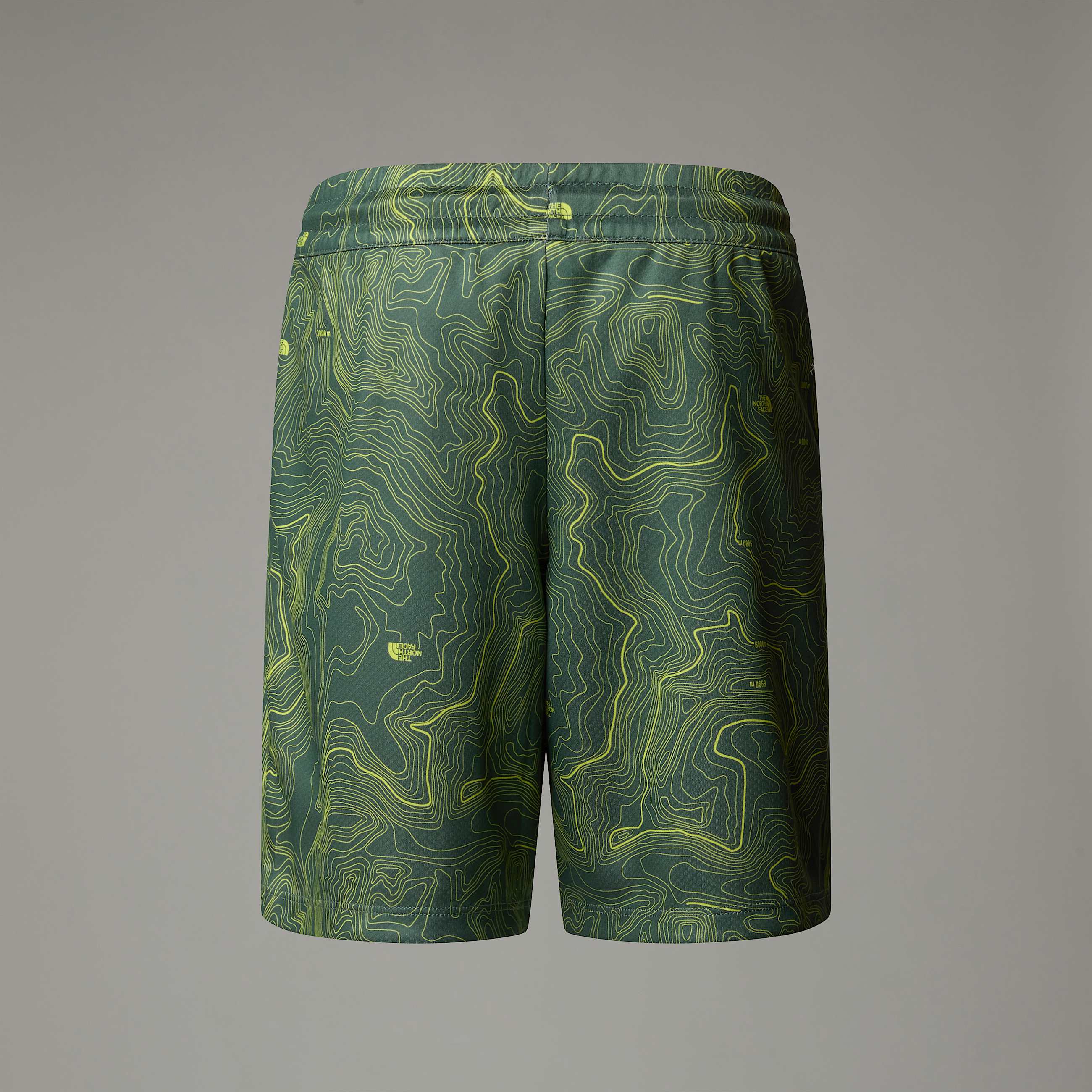 Boys Never Stop Shorts TNF ALT1