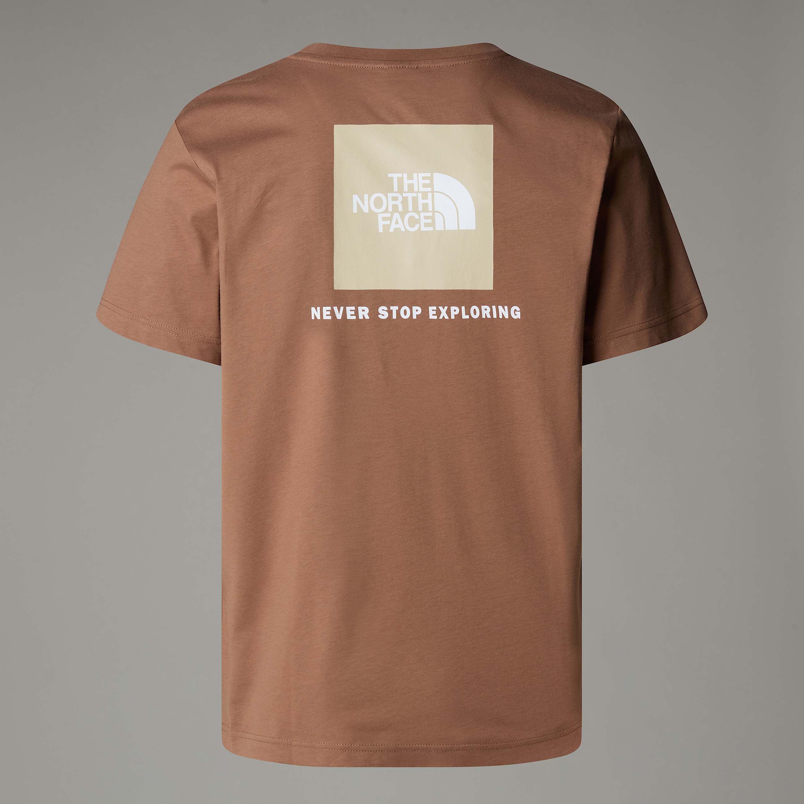 Mens NSE Box TShirt TNF ALT1