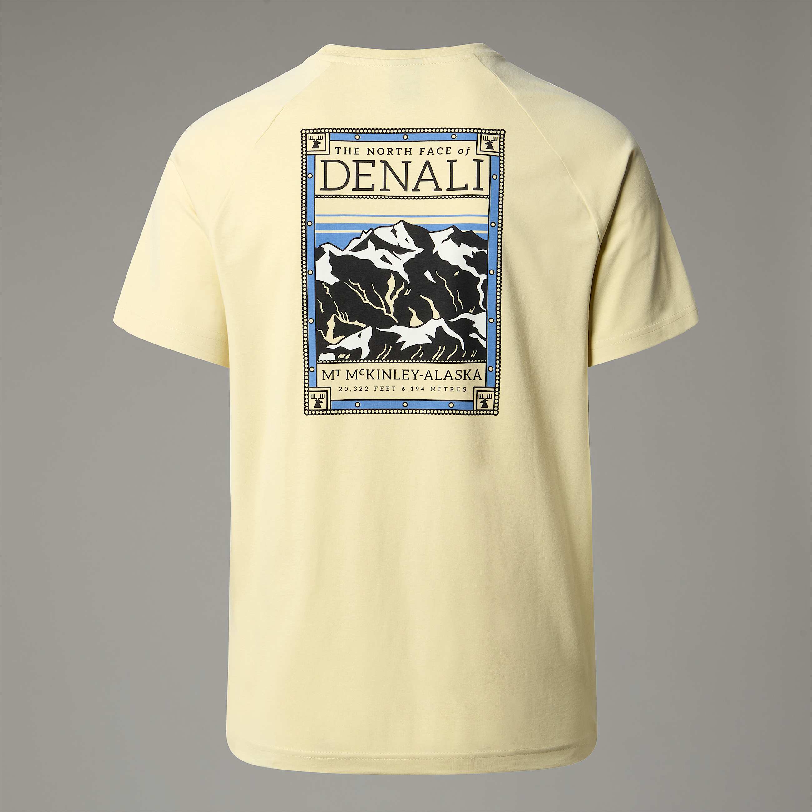 North Faces TShirt M TNF ALT1