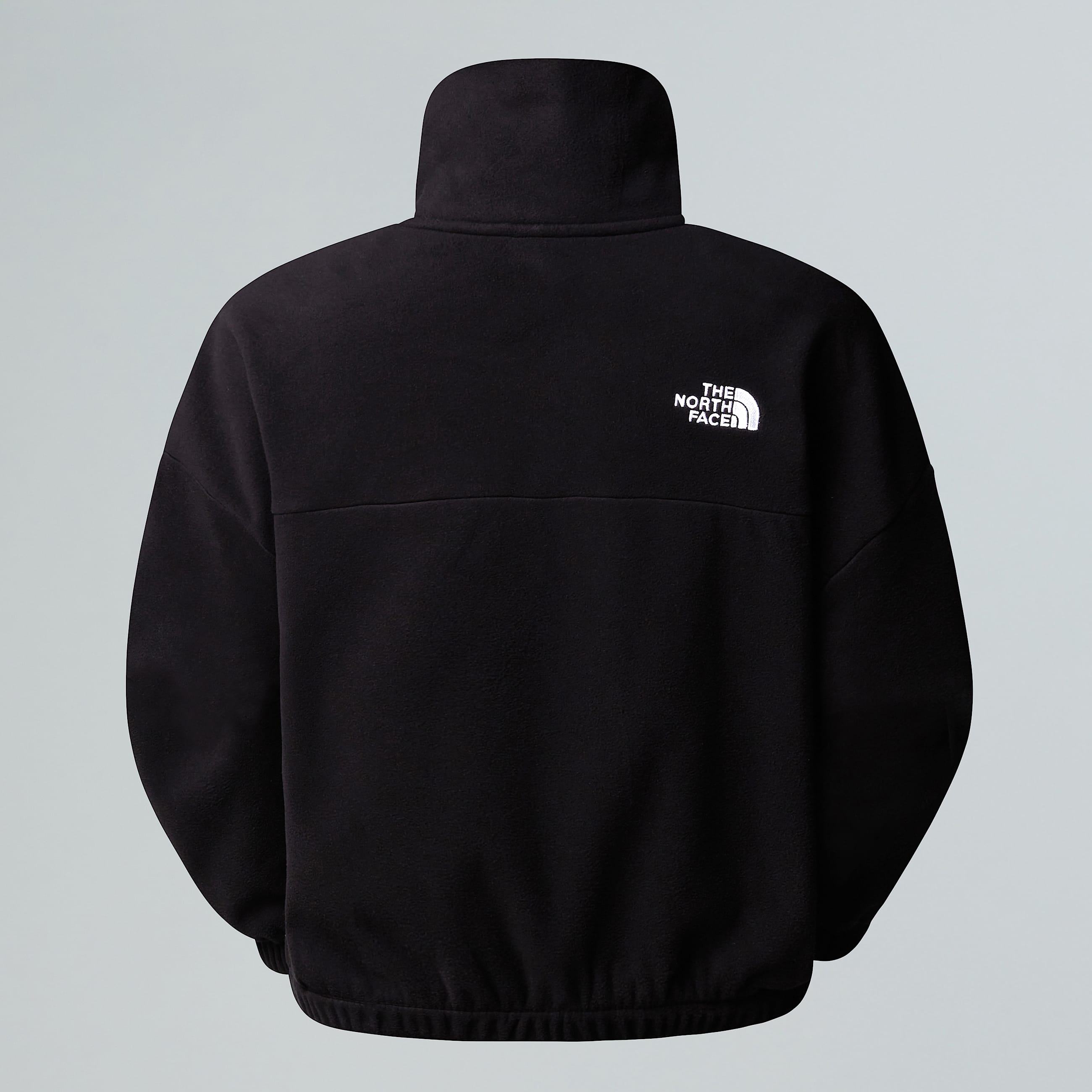 Pile 100 Glacier con cerniera a 12 da donna TNF ALT1