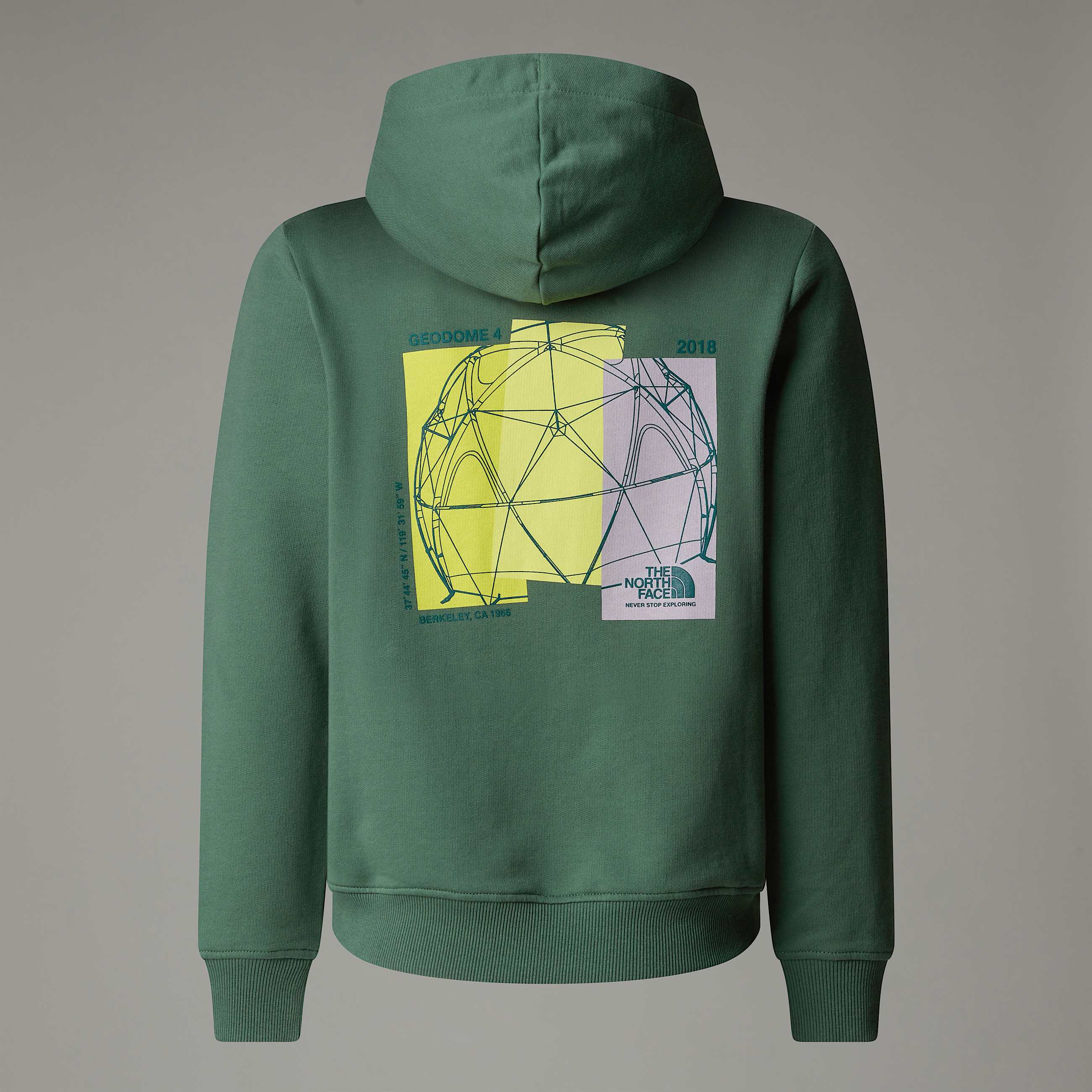 Felpa con cappuccio Relaxed Graphic da ragazzo TNF ALT1