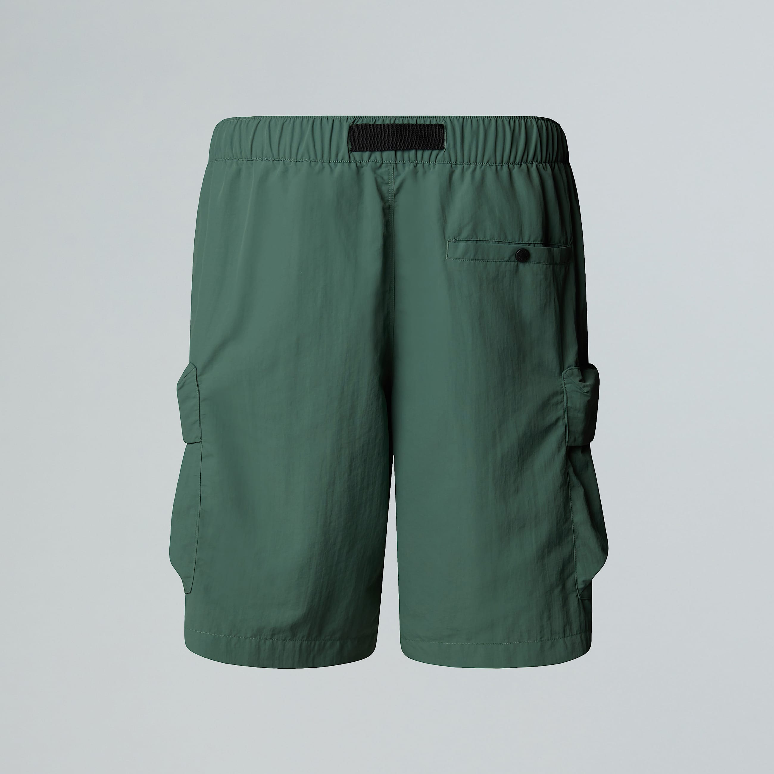 Pantaloncini Cargo Pocket da uomo TNF ALT1