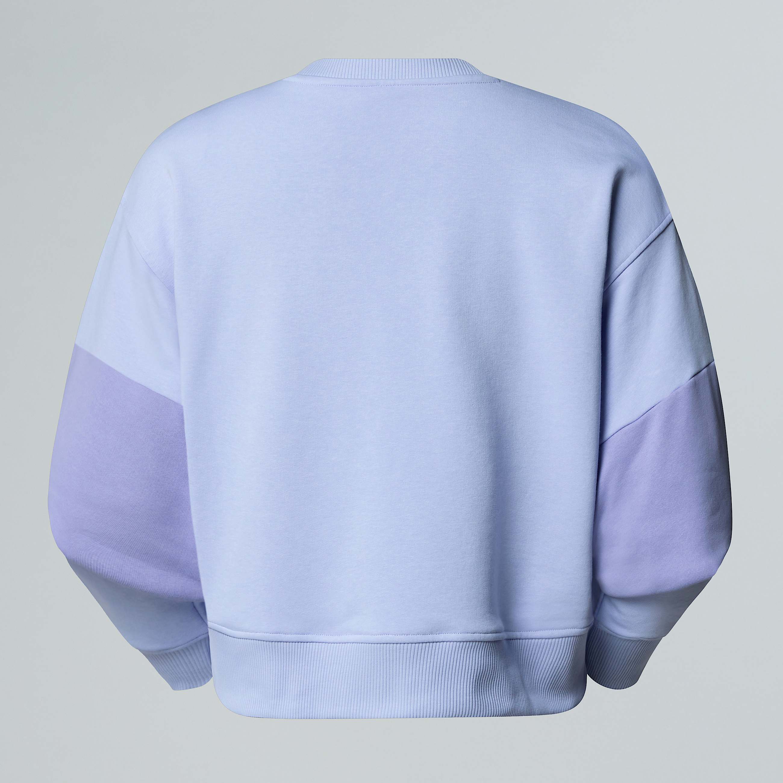 Felpa corta in vita Terry Oversized da donna TNF ALT1